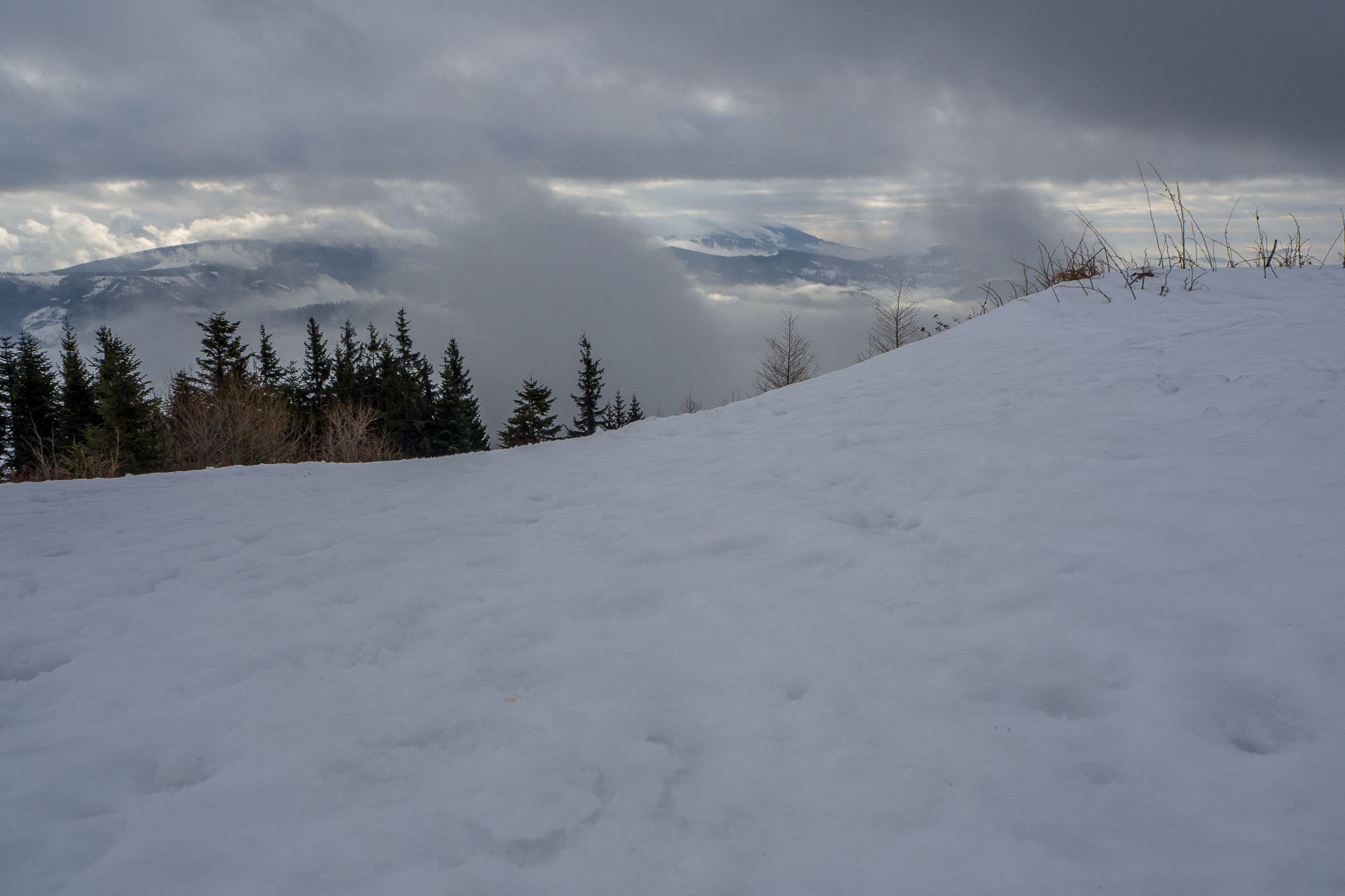 Kráľova hoľa zo Šumiaca (Nízke Tatry)