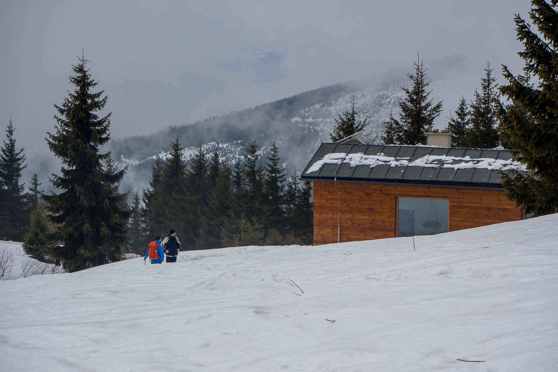 Kráľova hoľa zo Šumiaca (Nízke Tatry)