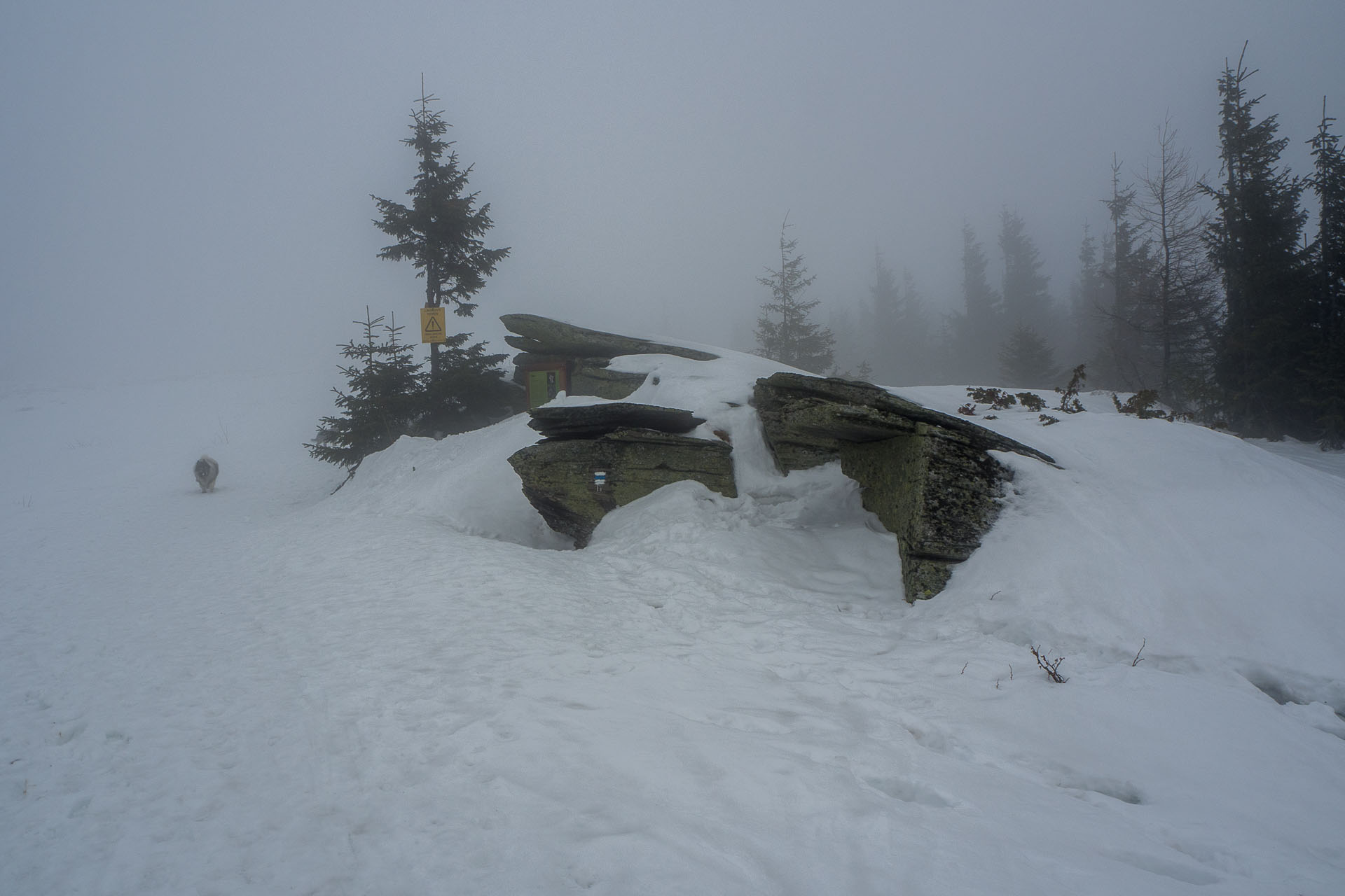 Kráľova hoľa zo Šumiaca (Nízke Tatry)