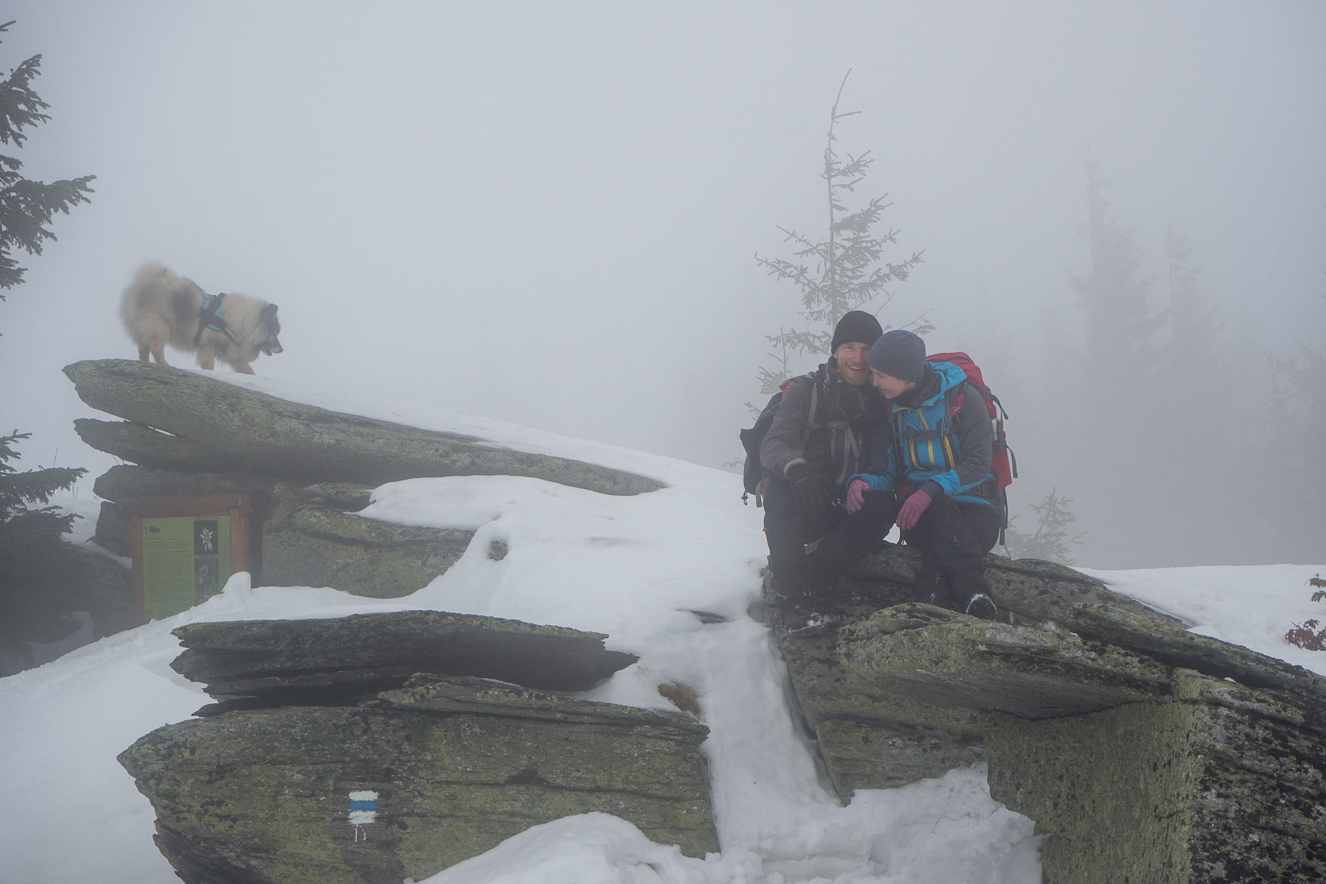 Kráľova hoľa zo Šumiaca (Nízke Tatry)