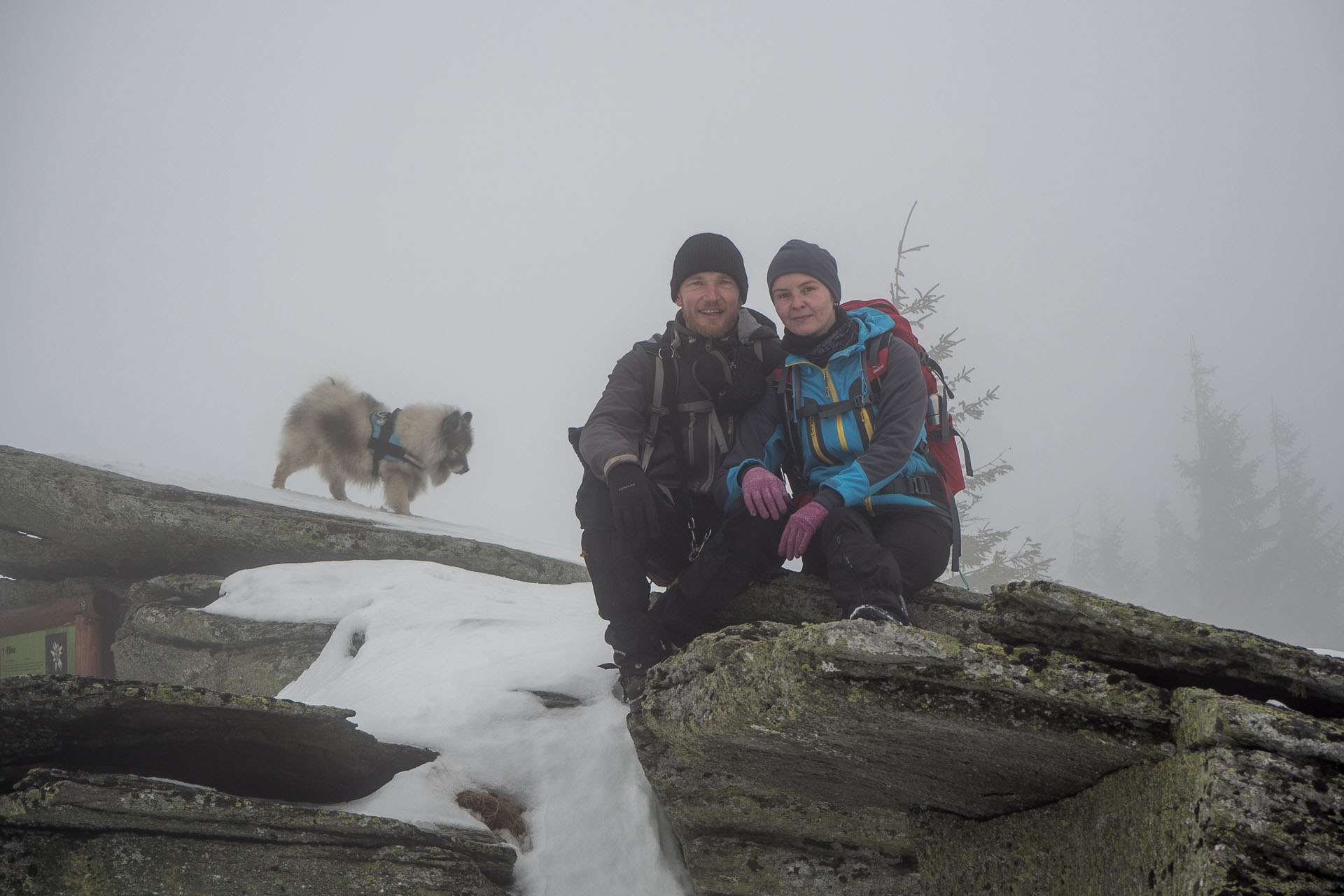 Kráľova hoľa zo Šumiaca (Nízke Tatry)