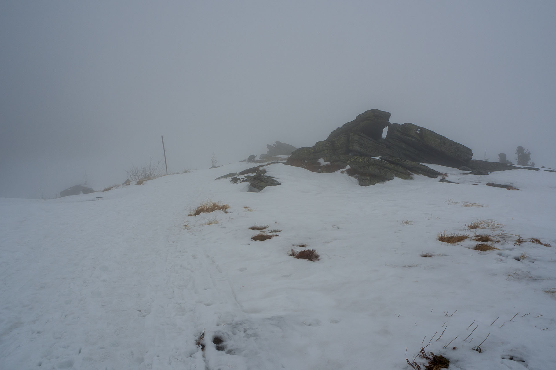 Kráľova hoľa zo Šumiaca (Nízke Tatry)