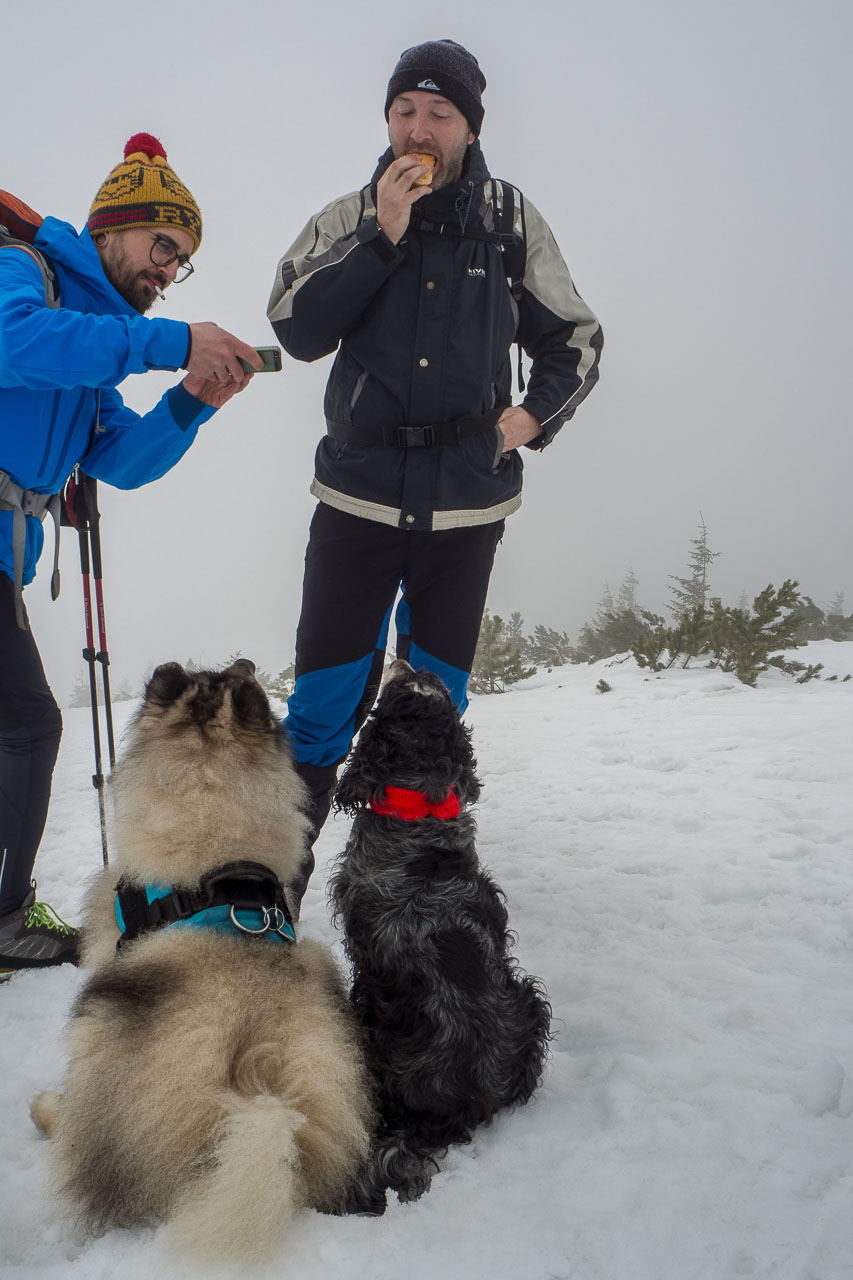 Kráľova hoľa zo Šumiaca (Nízke Tatry)