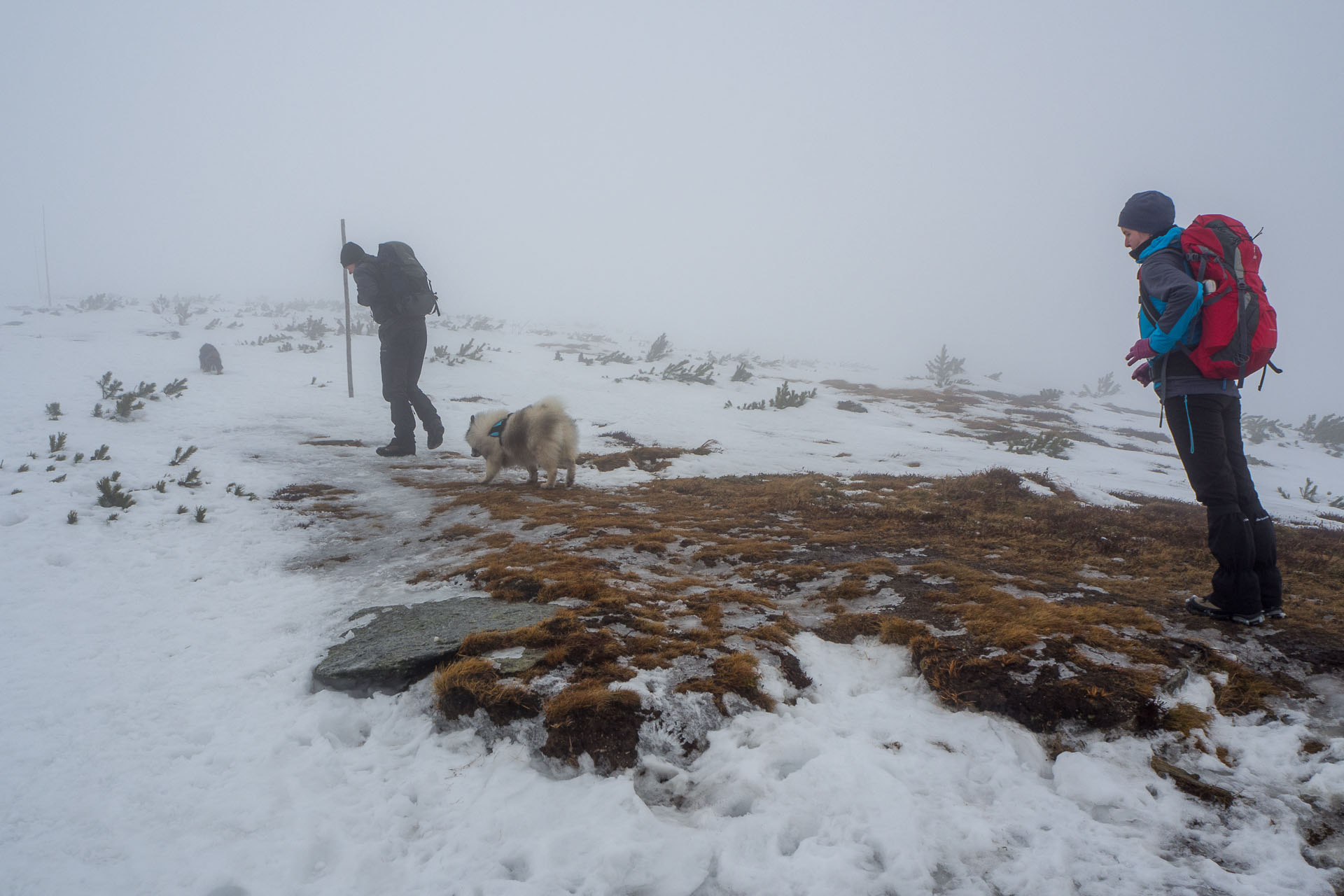 Kráľova hoľa zo Šumiaca (Nízke Tatry)