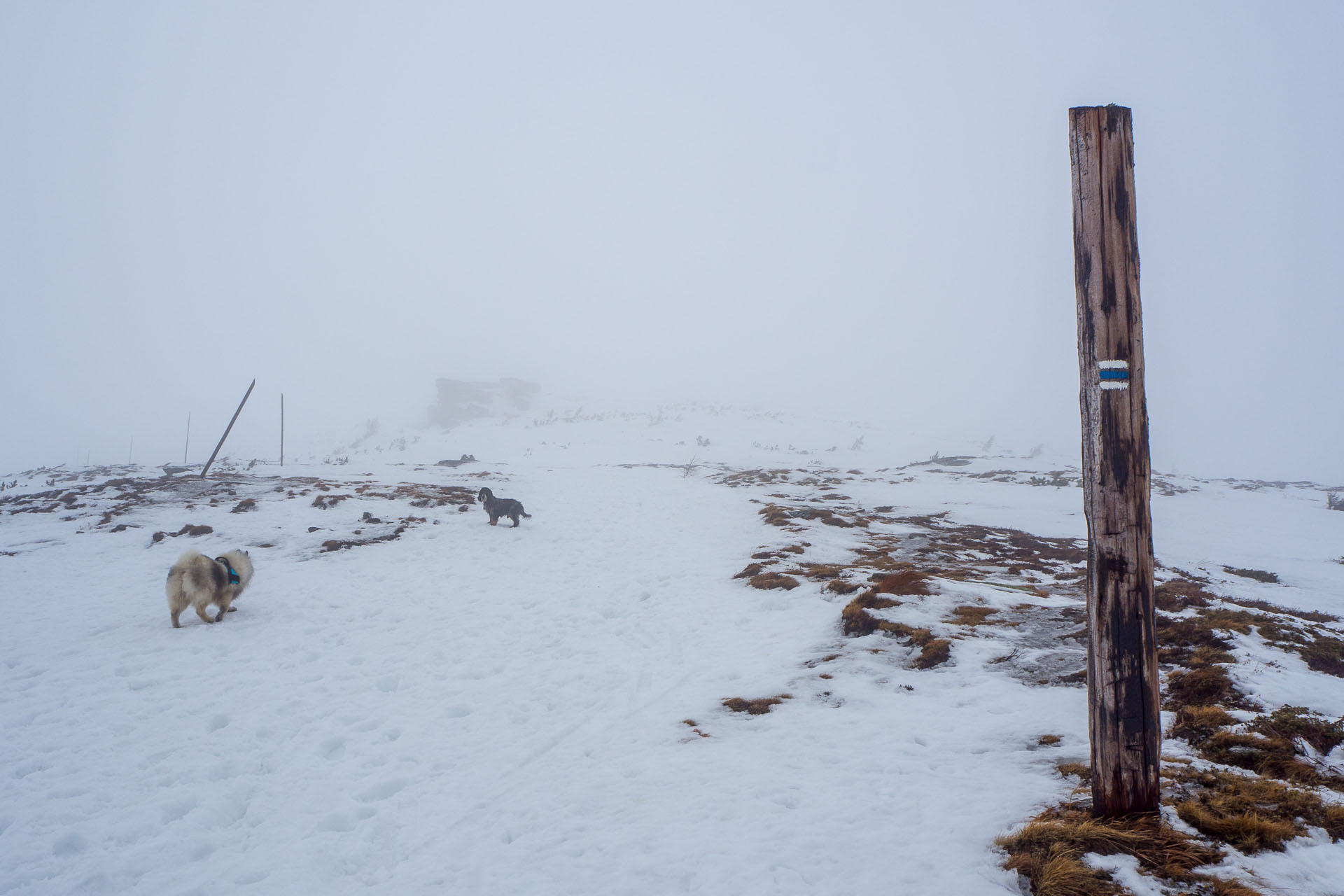 Kráľova hoľa zo Šumiaca (Nízke Tatry)