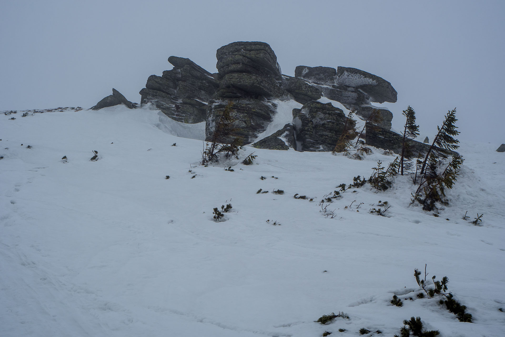 Kráľova hoľa zo Šumiaca (Nízke Tatry)