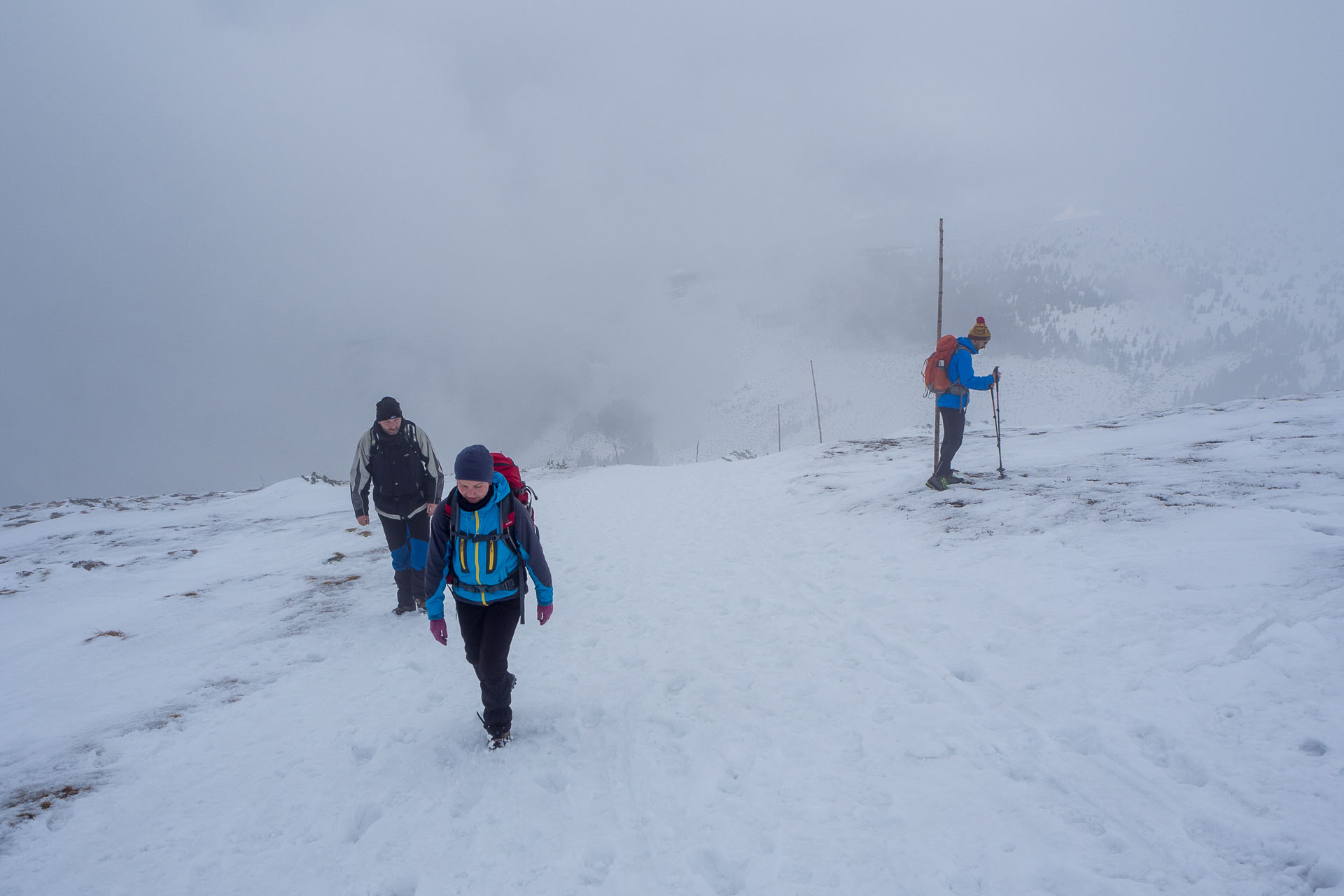 Kráľova hoľa zo Šumiaca (Nízke Tatry)