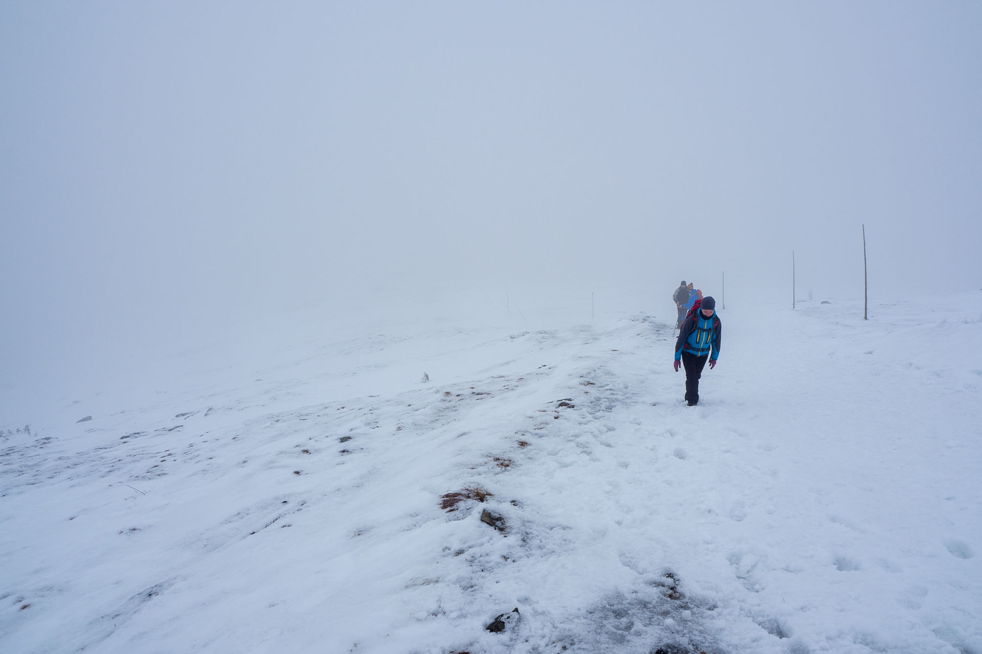 Kráľova hoľa zo Šumiaca (Nízke Tatry)