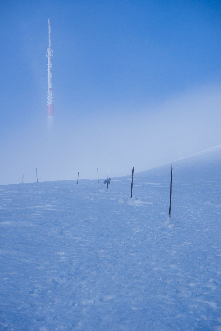 Kráľova hoľa zo Šumiaca (Nízke Tatry)