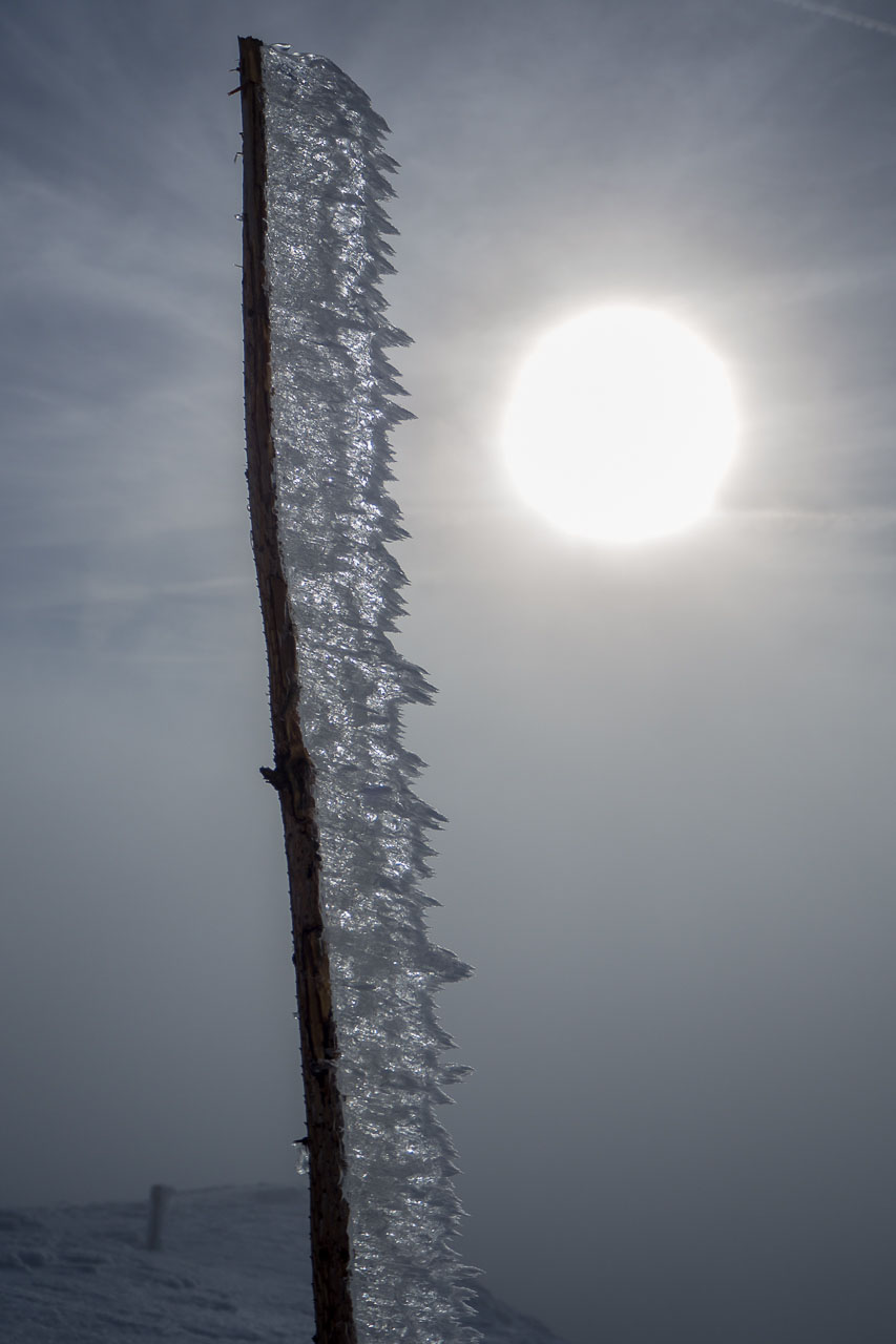 Kráľova hoľa zo Šumiaca (Nízke Tatry)