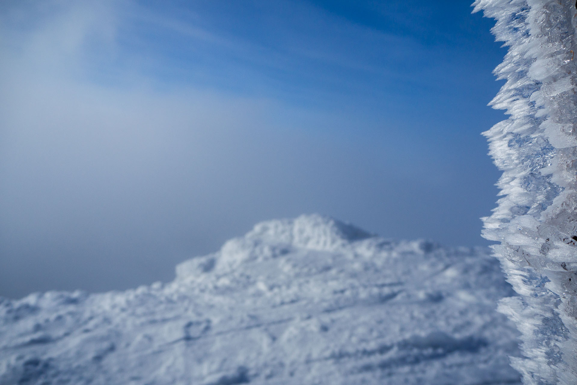 Kráľova hoľa zo Šumiaca (Nízke Tatry)