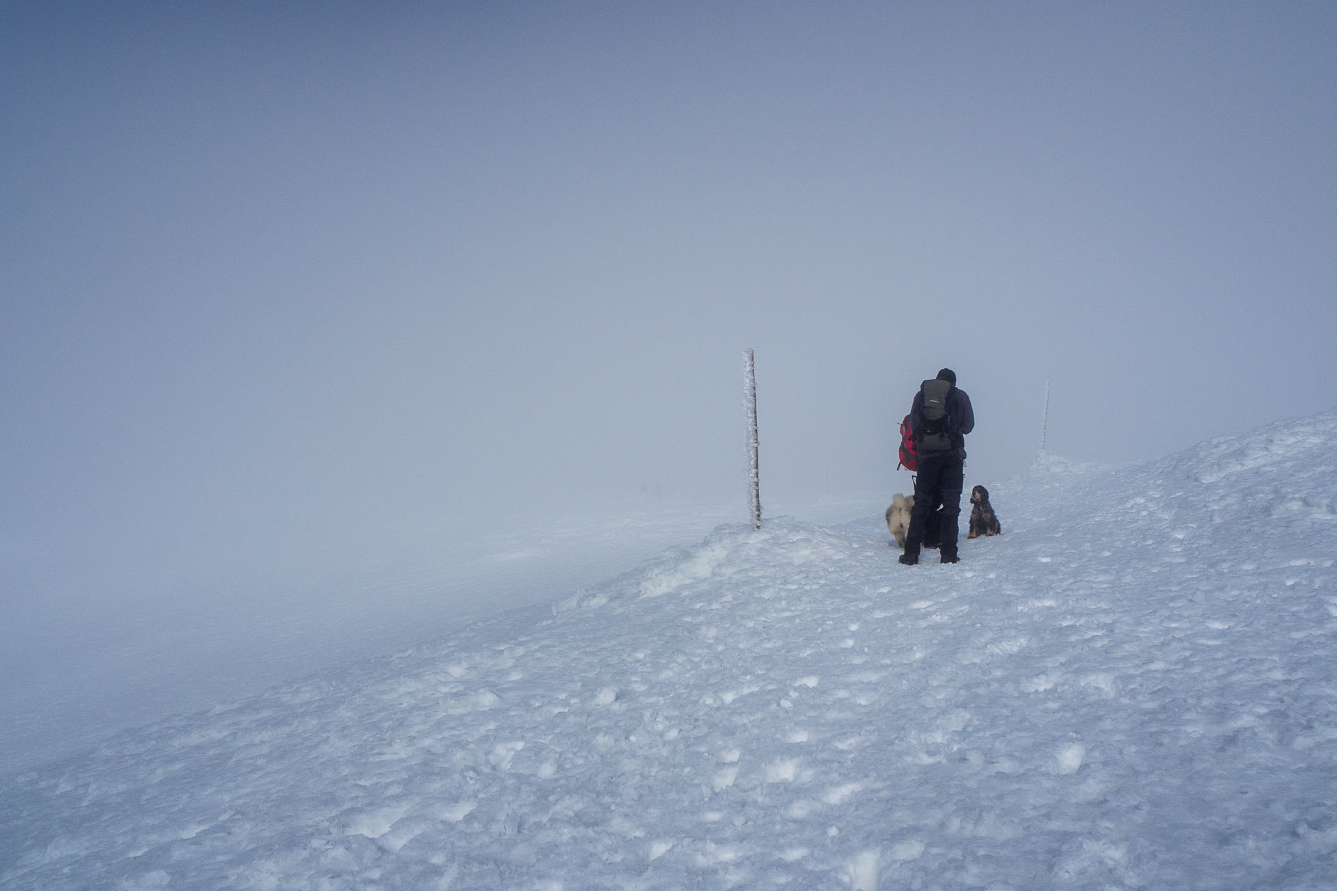 Kráľova hoľa zo Šumiaca (Nízke Tatry)