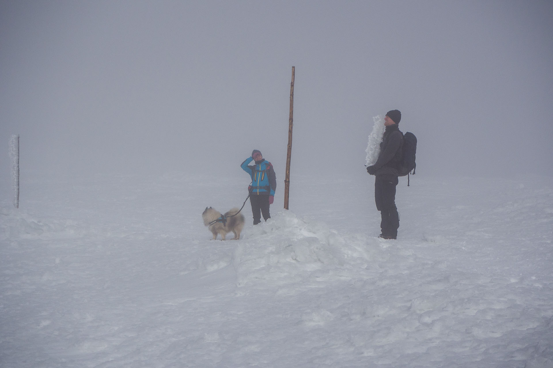 Kráľova hoľa zo Šumiaca (Nízke Tatry)