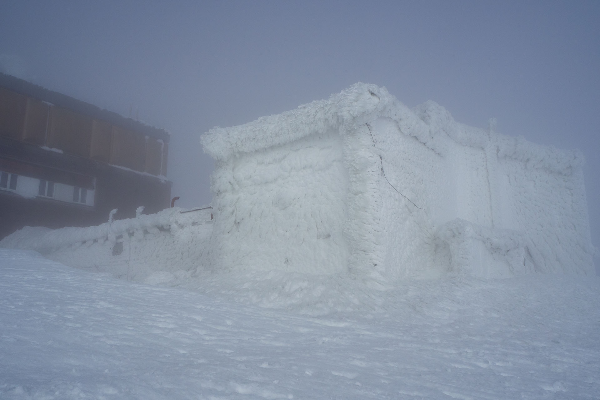 Kráľova hoľa zo Šumiaca (Nízke Tatry)