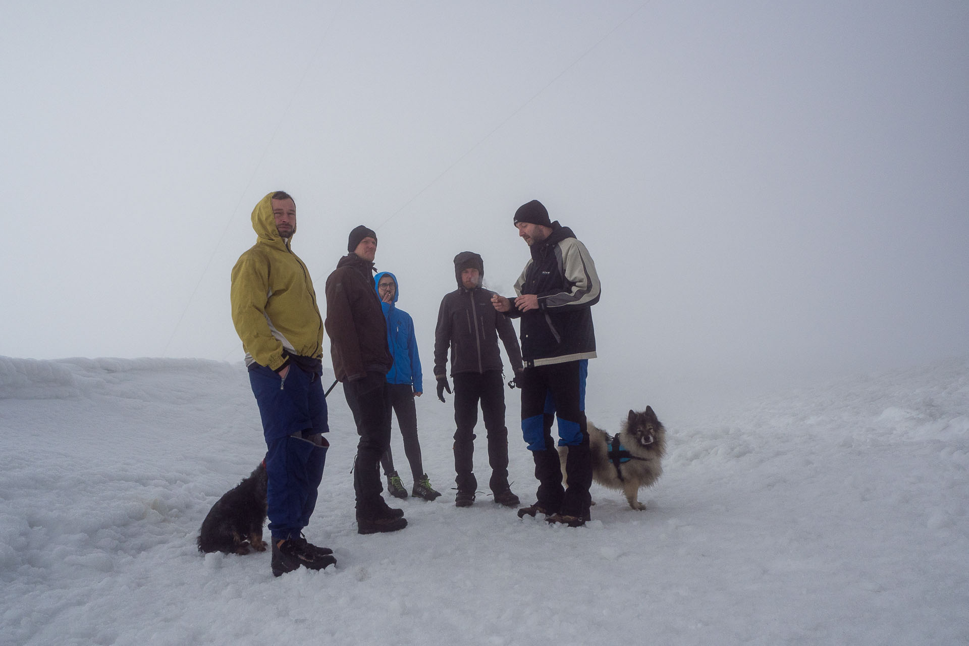 Kráľova hoľa zo Šumiaca (Nízke Tatry)