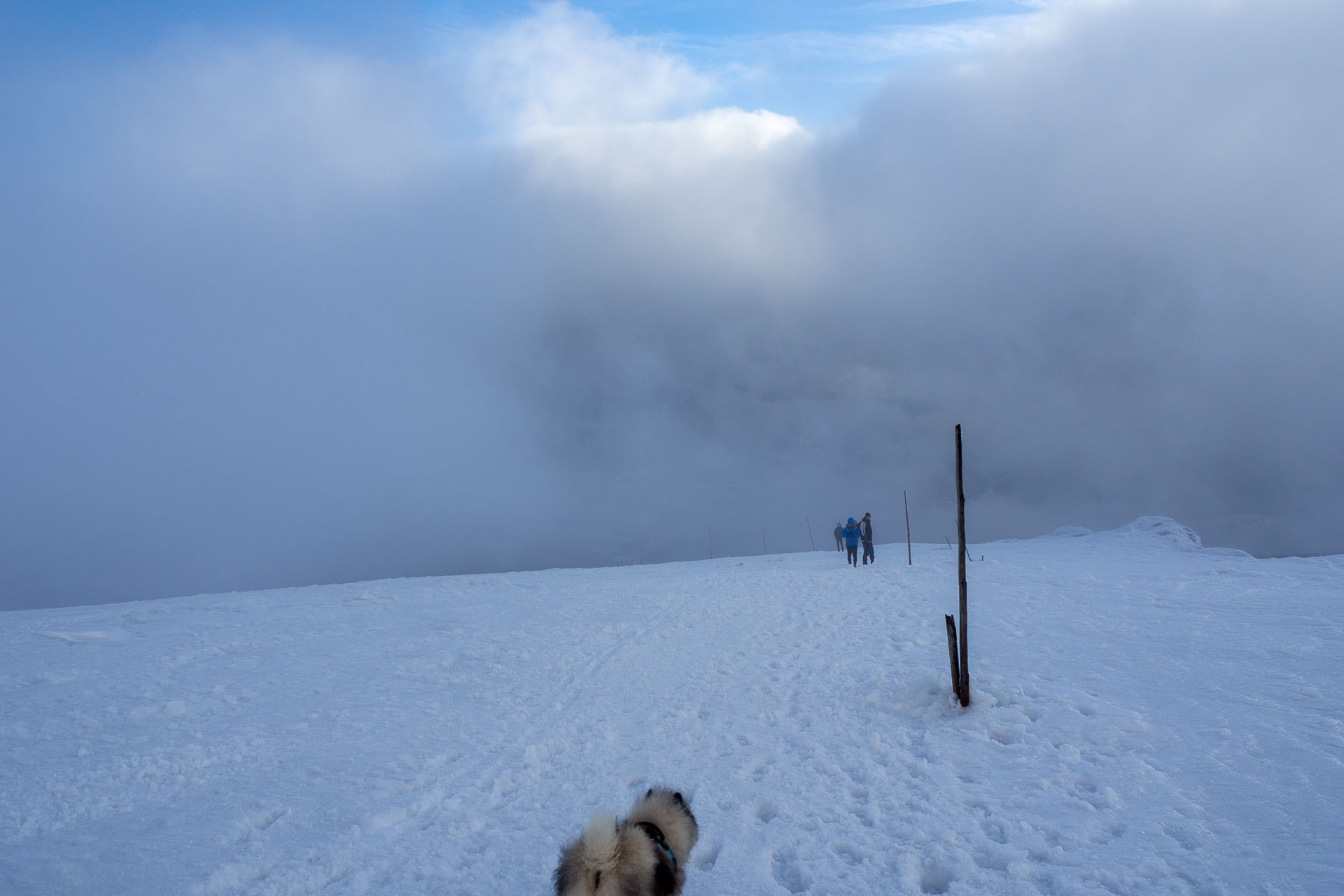 Kráľova hoľa zo Šumiaca (Nízke Tatry)