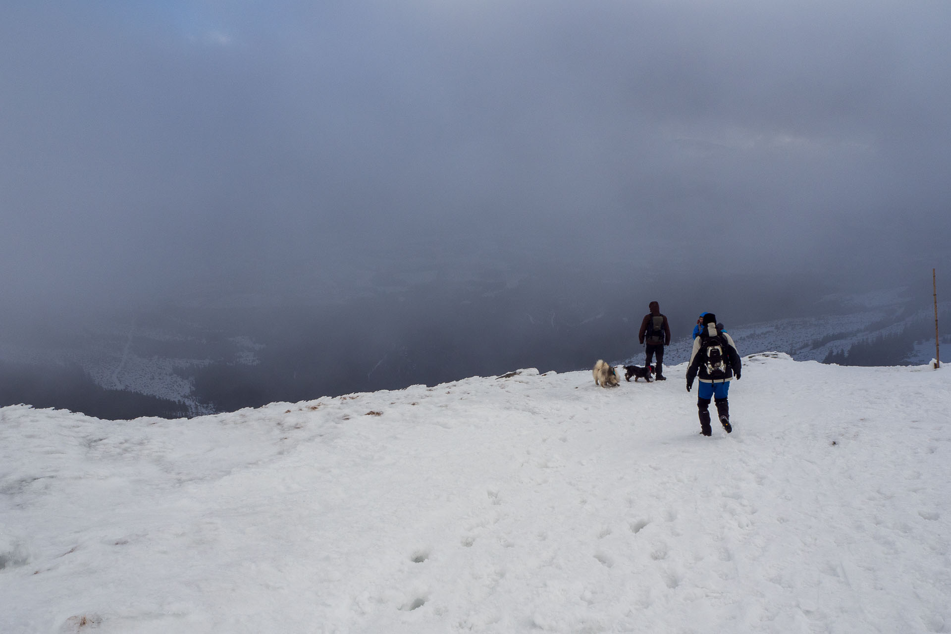 Kráľova hoľa zo Šumiaca (Nízke Tatry)