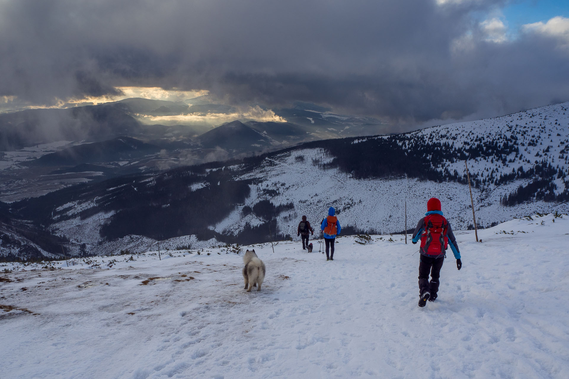 Kráľova hoľa zo Šumiaca (Nízke Tatry)