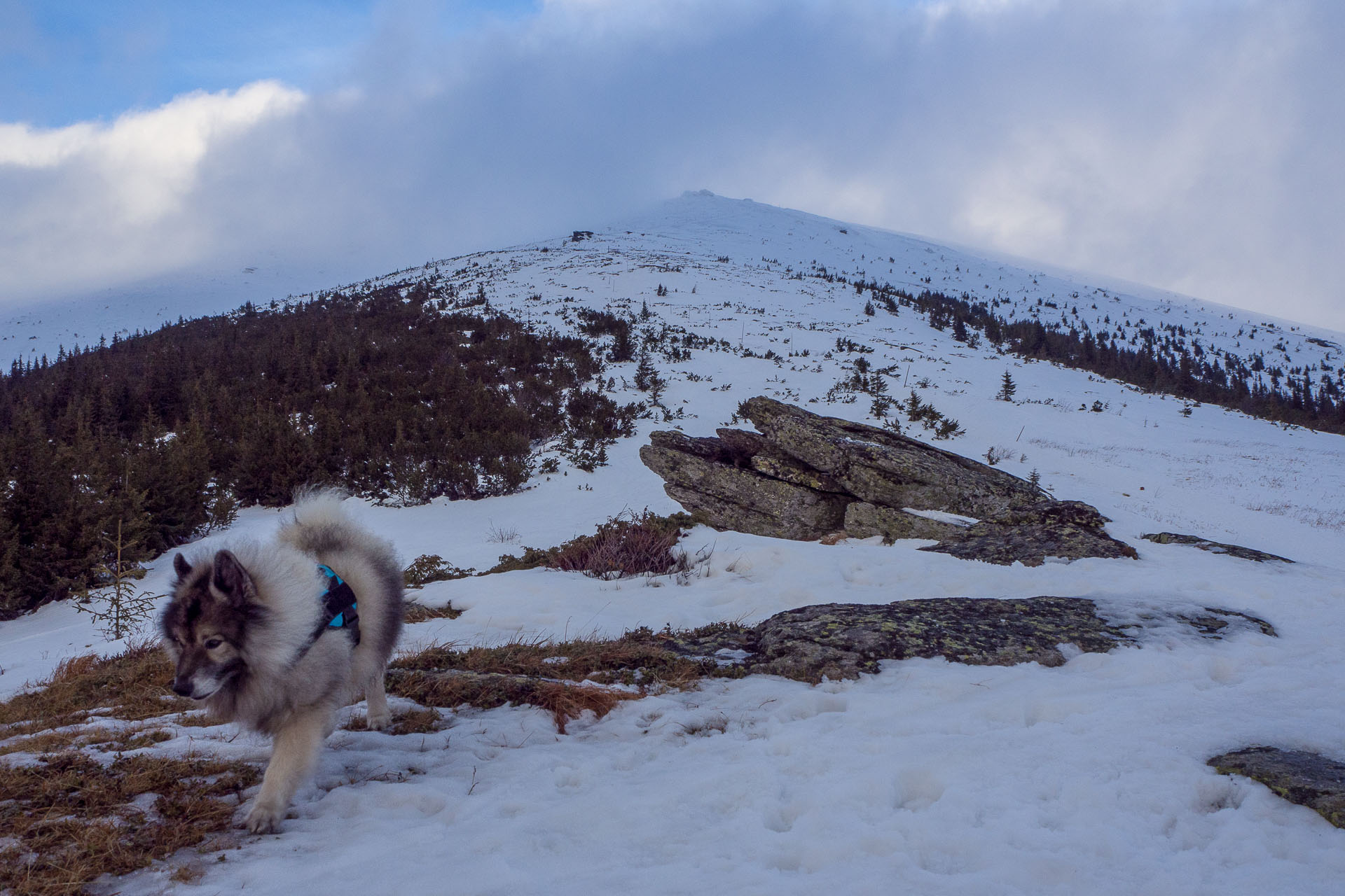 Kráľova hoľa zo Šumiaca (Nízke Tatry)