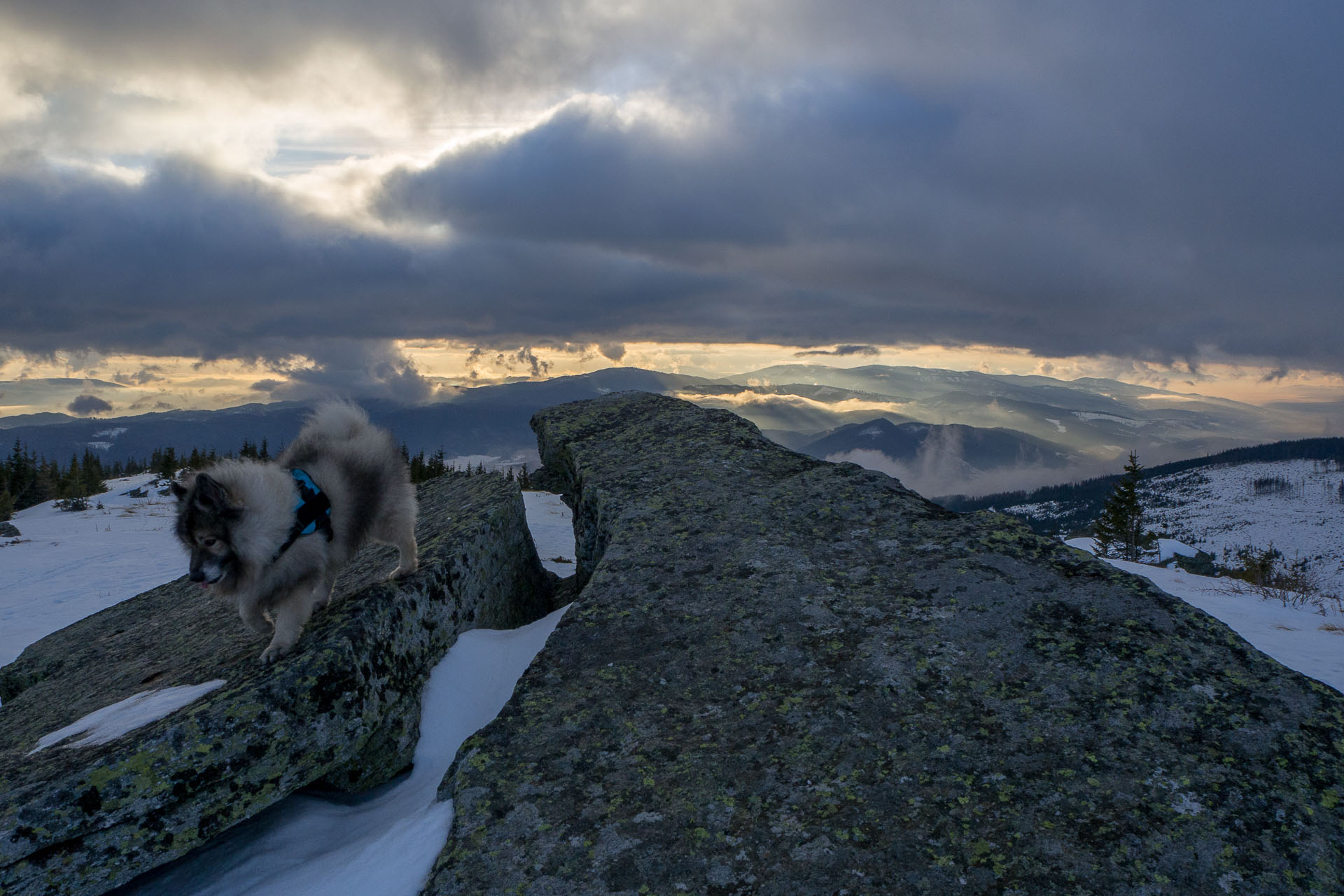 Kráľova hoľa zo Šumiaca (Nízke Tatry)