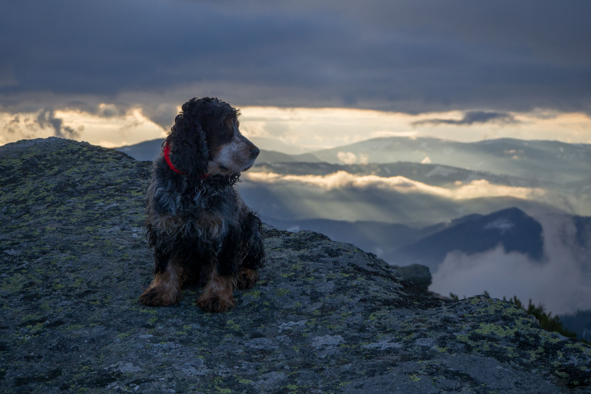 Kráľova hoľa zo Šumiaca (Nízke Tatry)