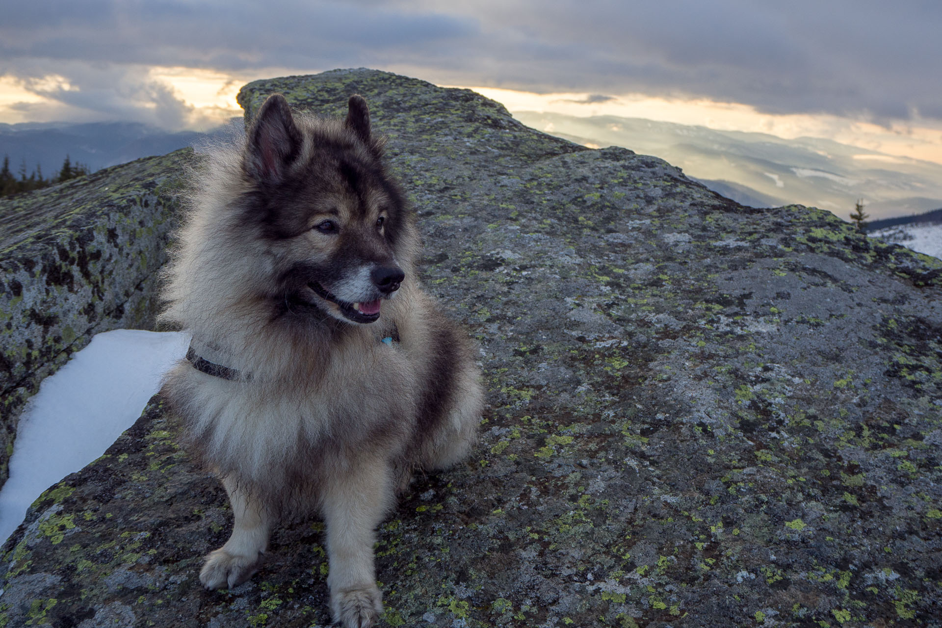 Kráľova hoľa zo Šumiaca (Nízke Tatry)