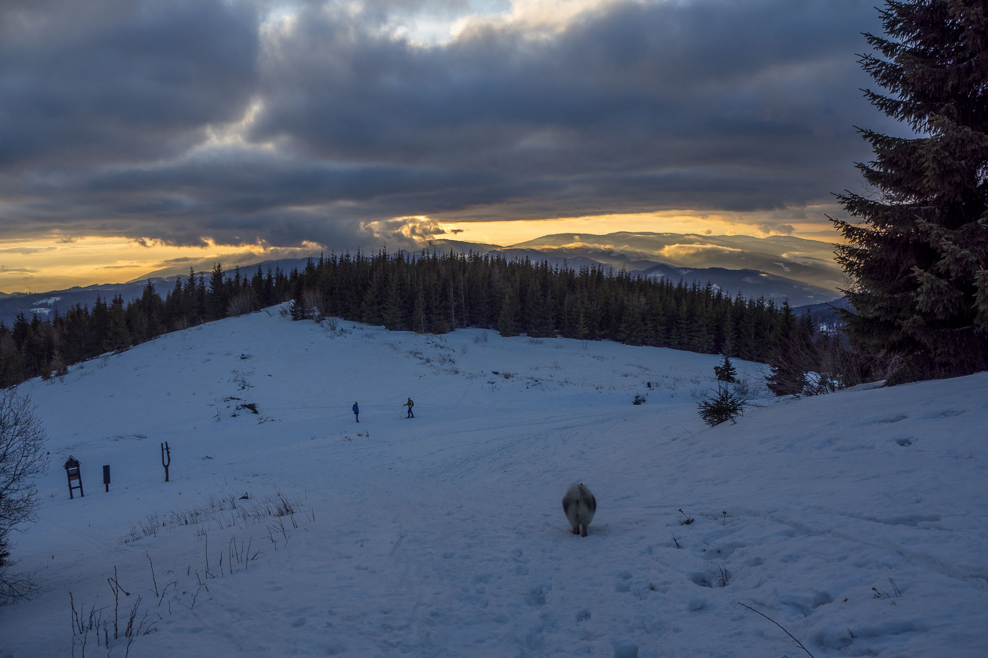 Kráľova hoľa zo Šumiaca (Nízke Tatry)