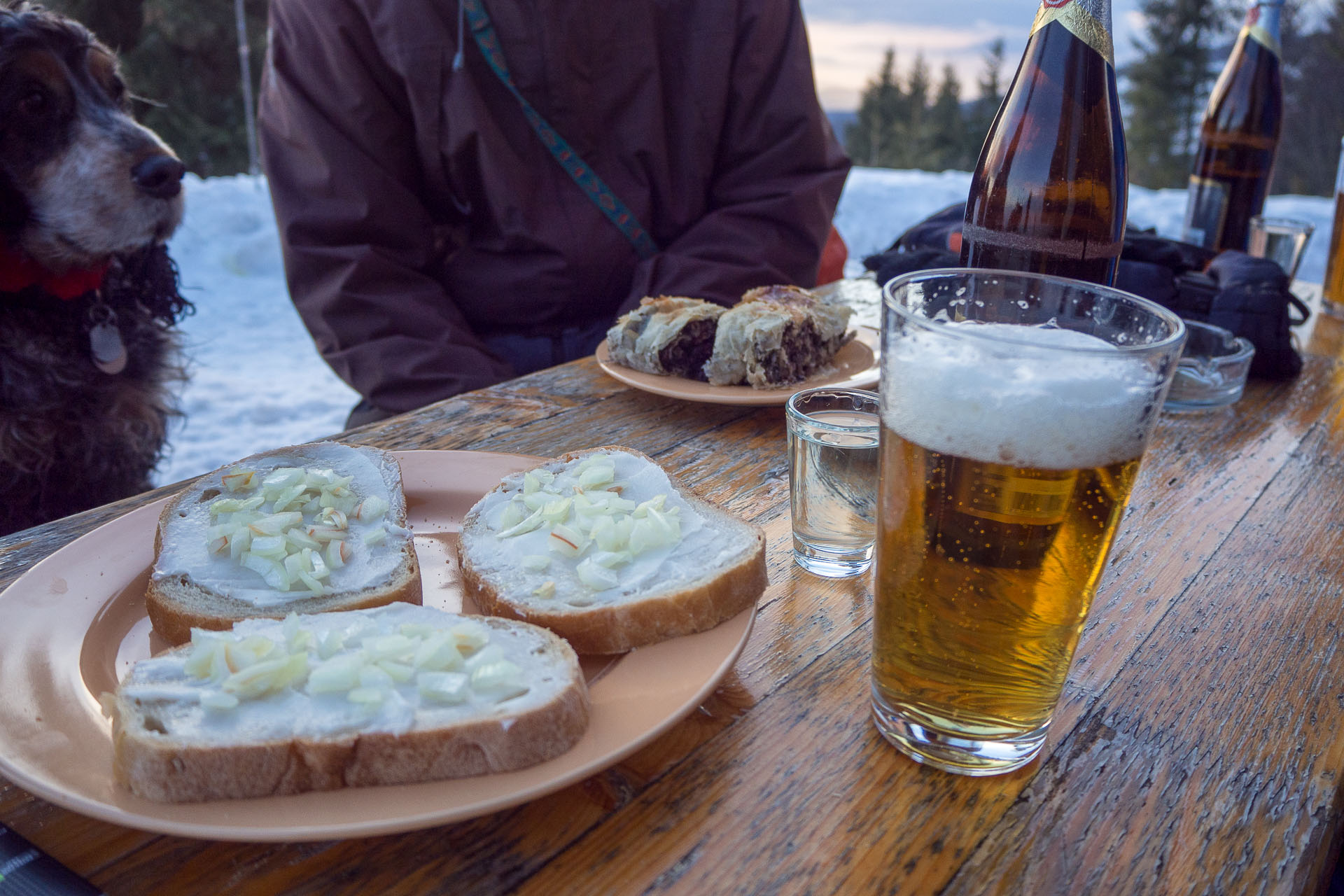 Kráľova hoľa zo Šumiaca (Nízke Tatry)