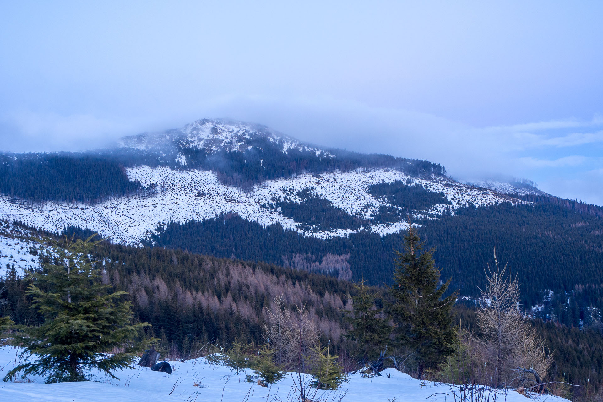 Kráľova hoľa zo Šumiaca (Nízke Tatry)