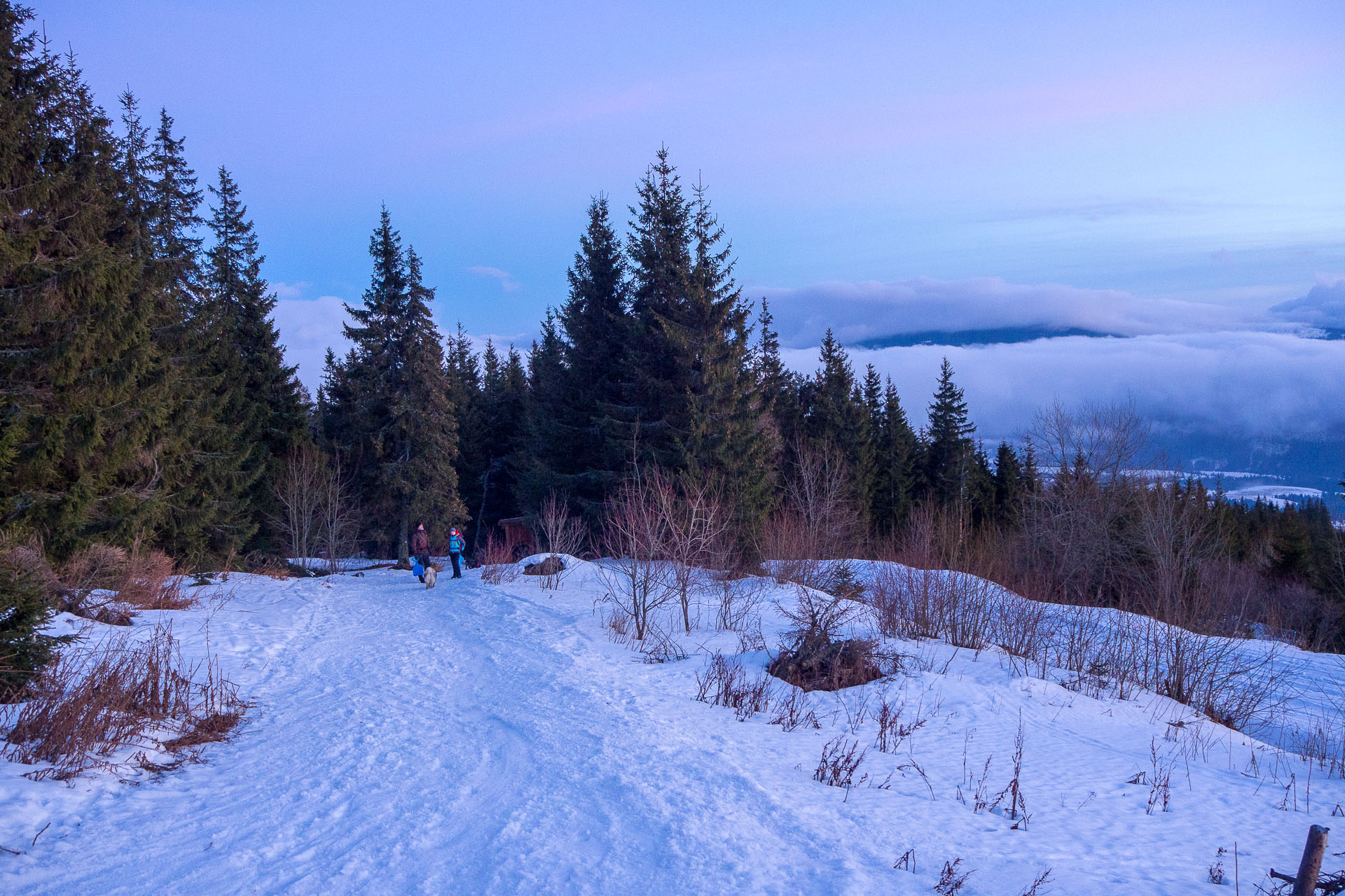 Kráľova hoľa zo Šumiaca (Nízke Tatry)