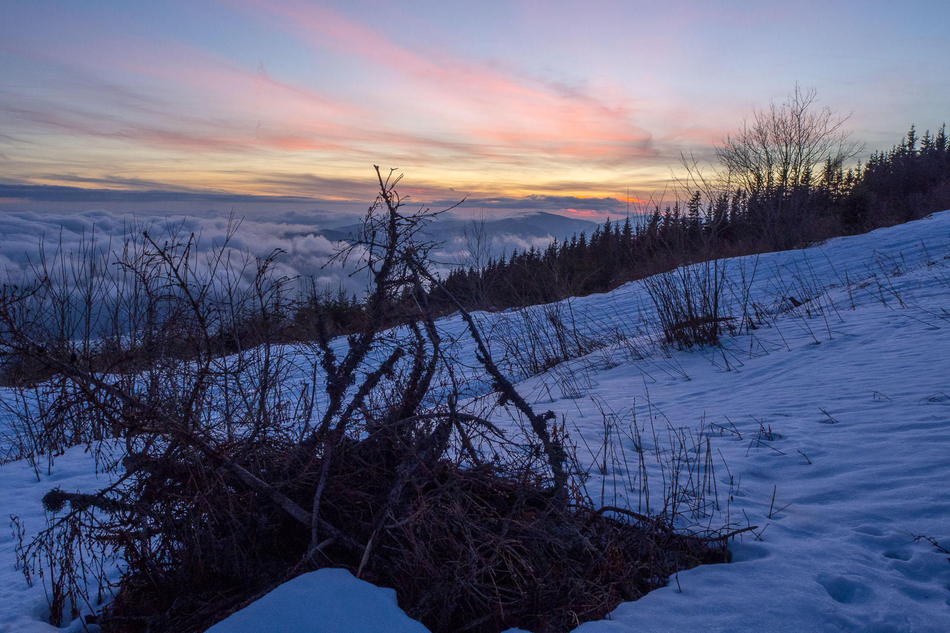 Kráľova hoľa zo Šumiaca (Nízke Tatry)