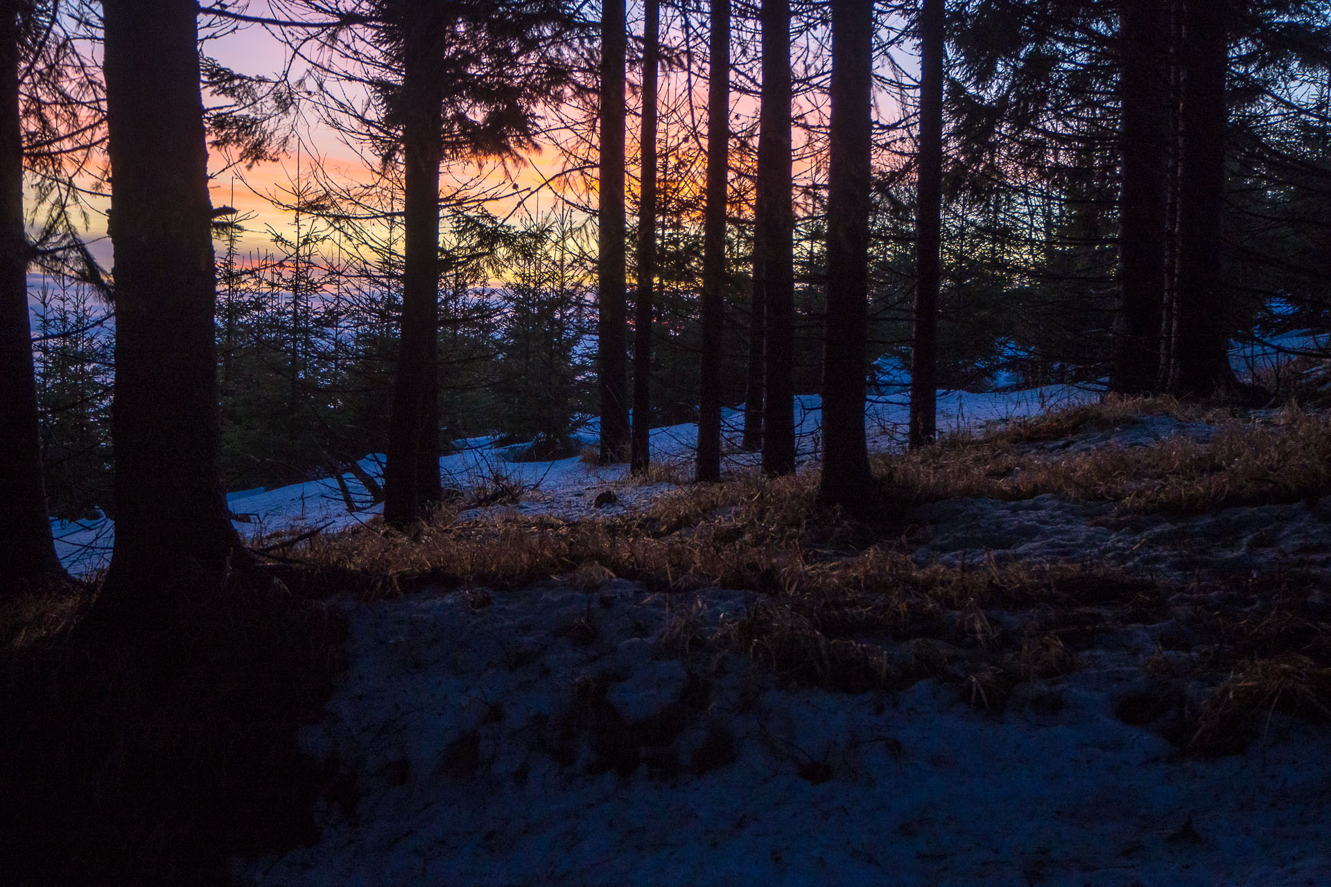 Kráľova hoľa zo Šumiaca (Nízke Tatry)