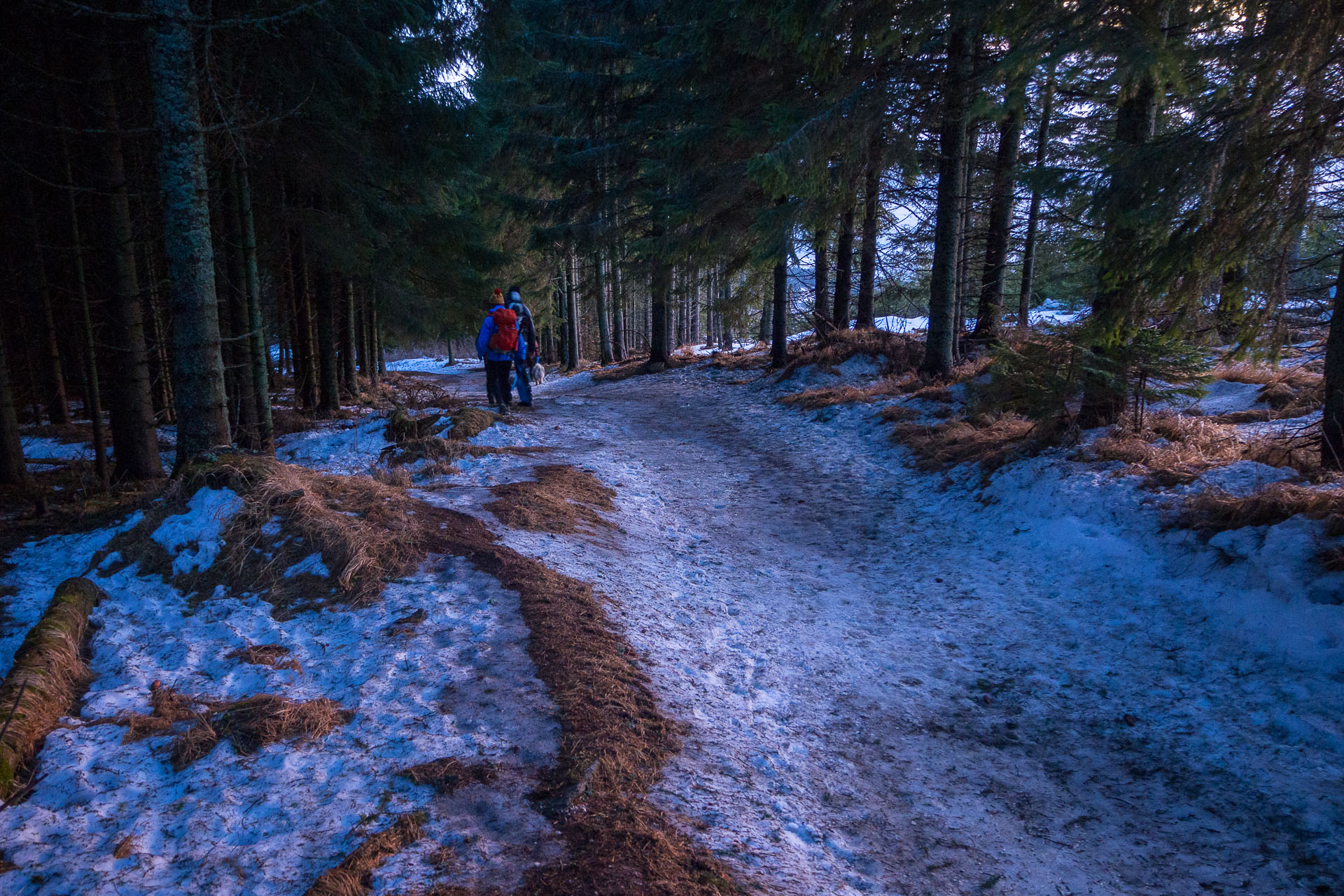 Kráľova hoľa zo Šumiaca (Nízke Tatry)