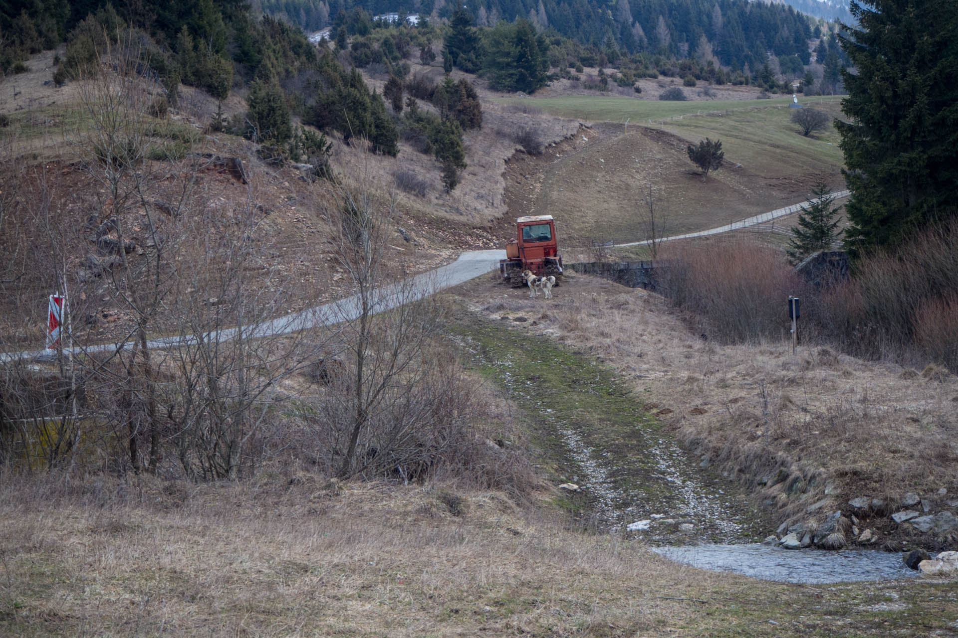 Veľkonočná Veľká Vápenica z Heľpy (Nízke Tatry)