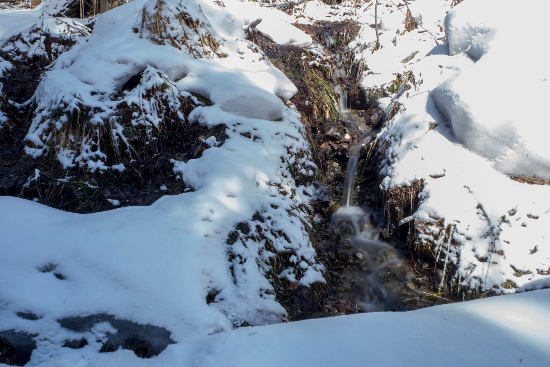 Veľkonočná Veľká Vápenica z Heľpy (Nízke Tatry)