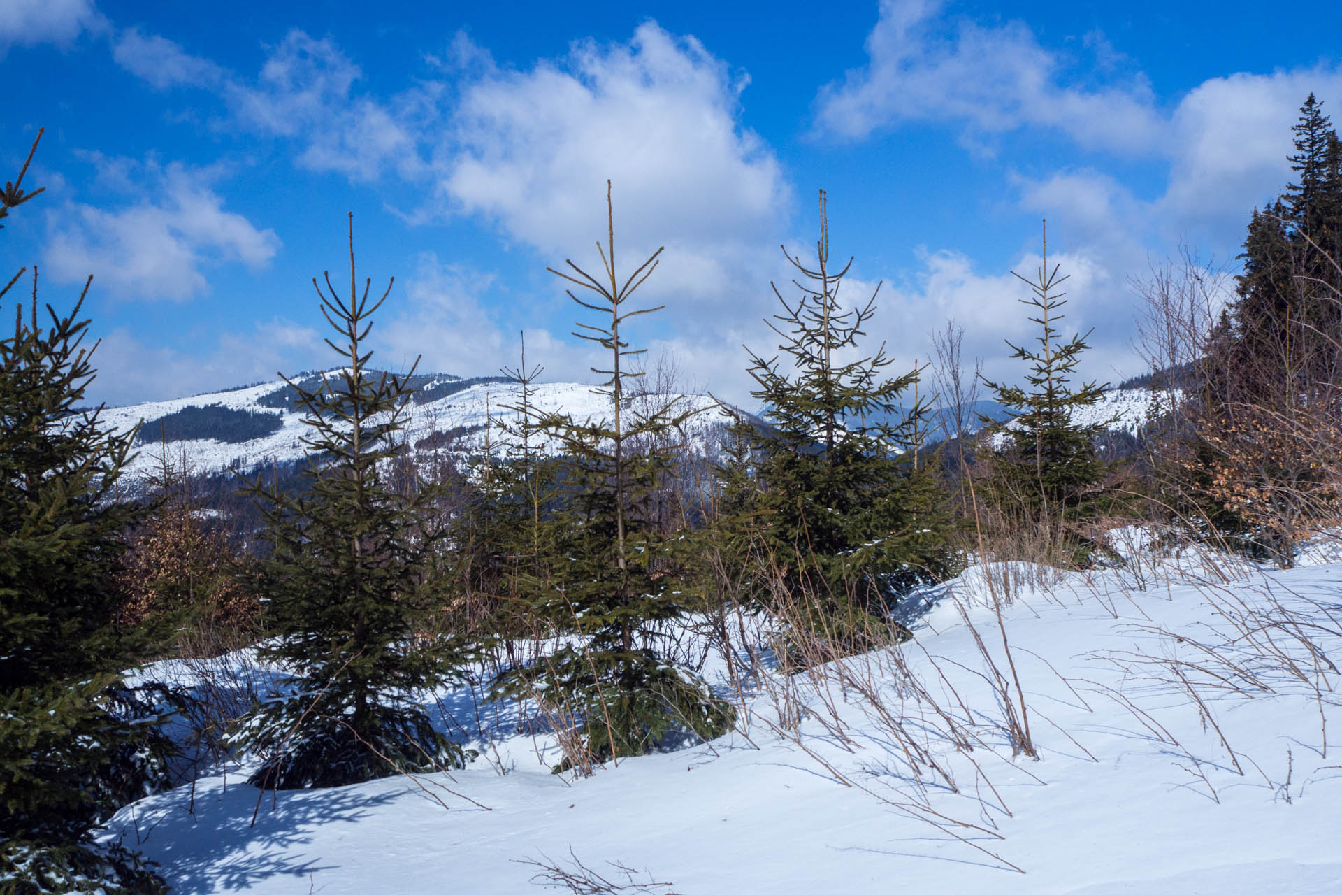 Veľkonočná Veľká Vápenica z Heľpy (Nízke Tatry)