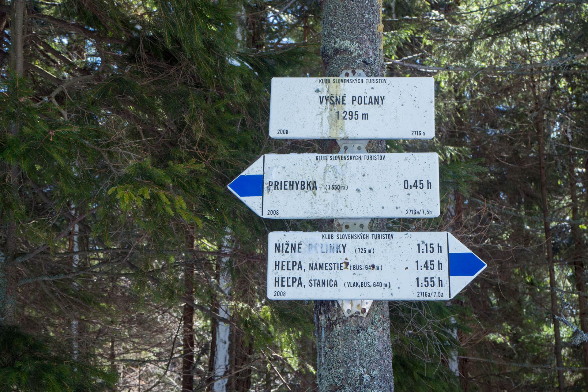 Veľkonočná Veľká Vápenica z Heľpy (Nízke Tatry)