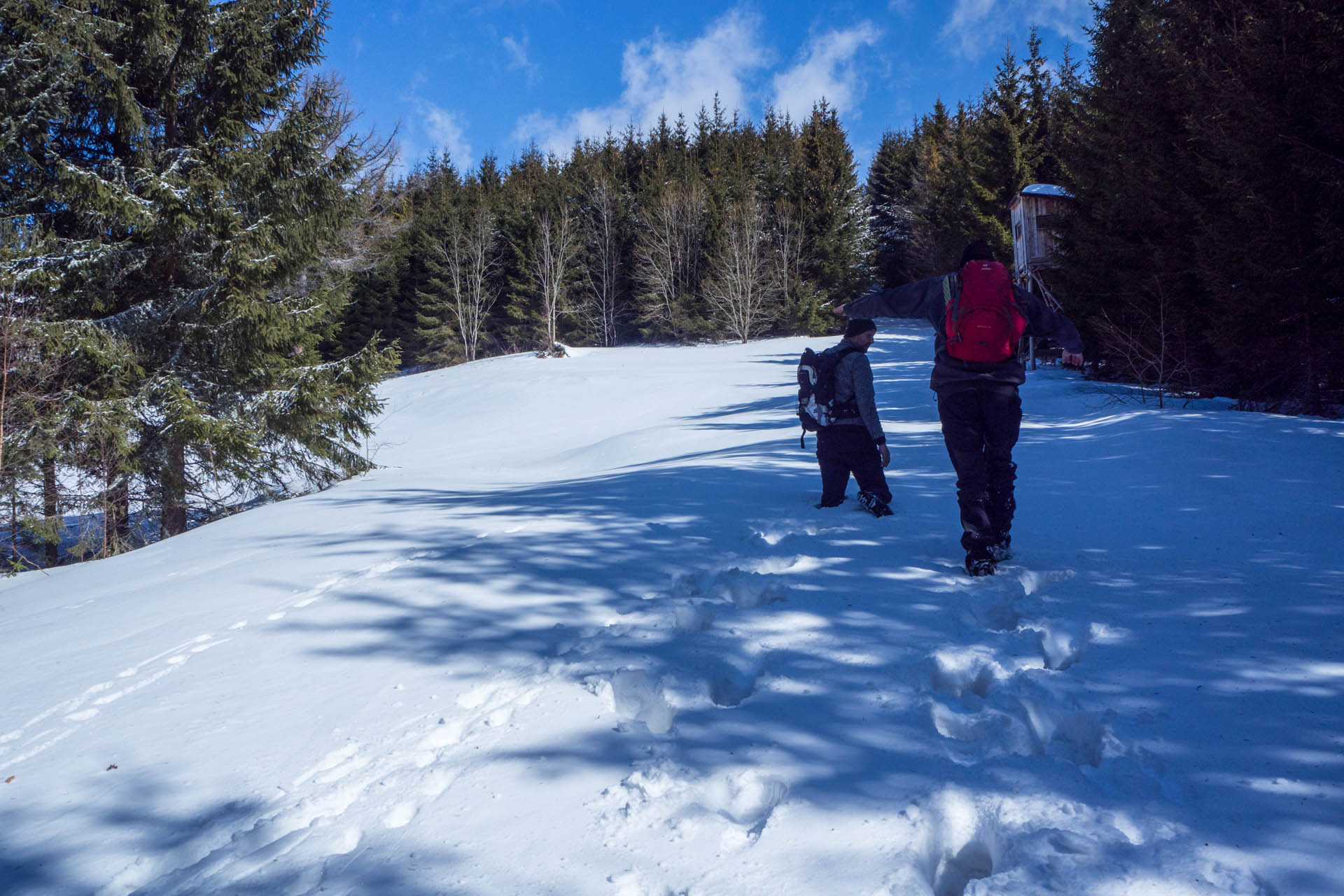 Veľkonočná Veľká Vápenica z Heľpy (Nízke Tatry)