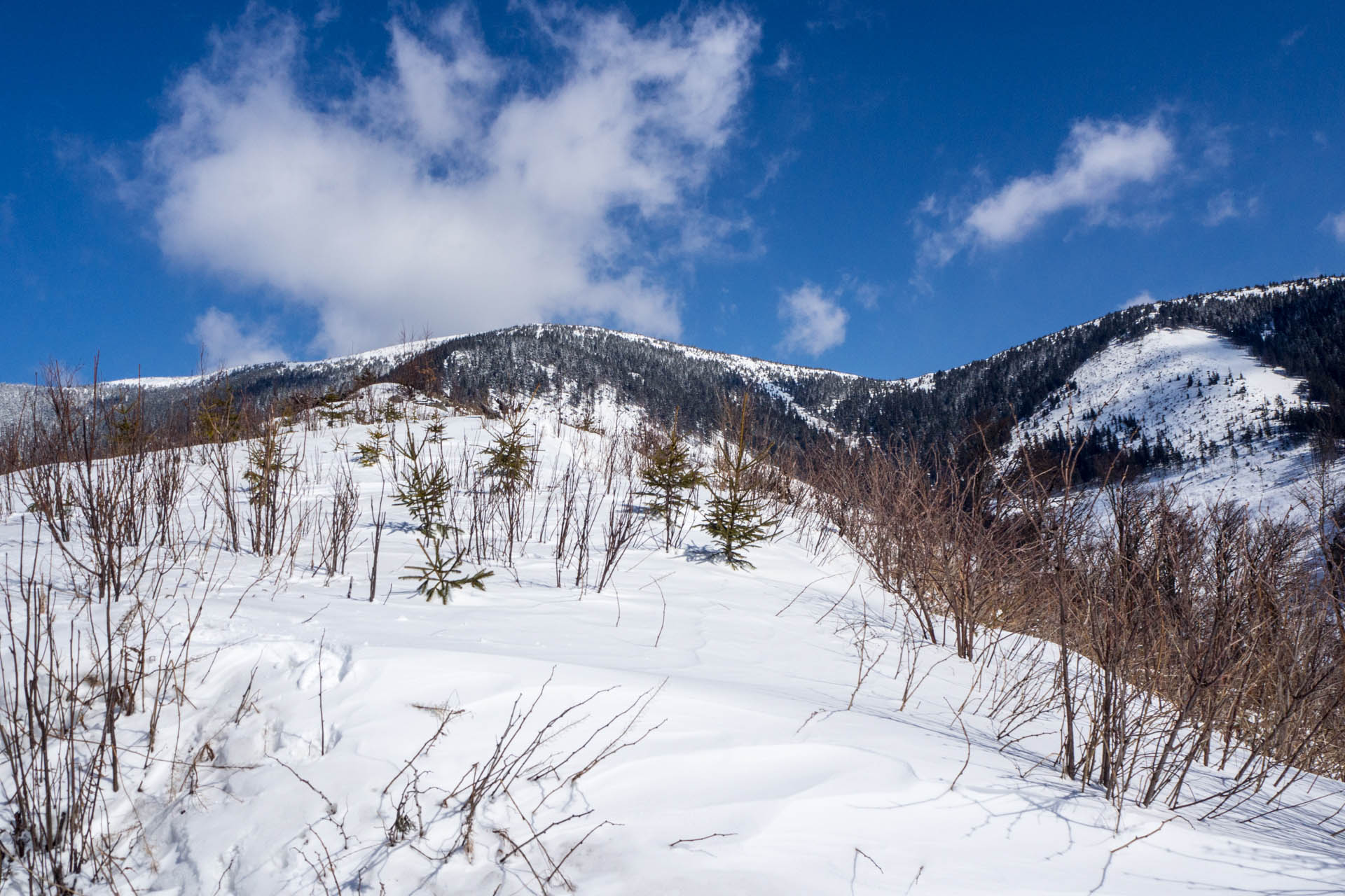 Veľkonočná Veľká Vápenica z Heľpy (Nízke Tatry)