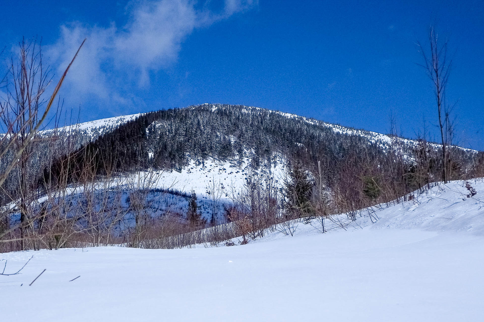 Veľkonočná Veľká Vápenica z Heľpy (Nízke Tatry)