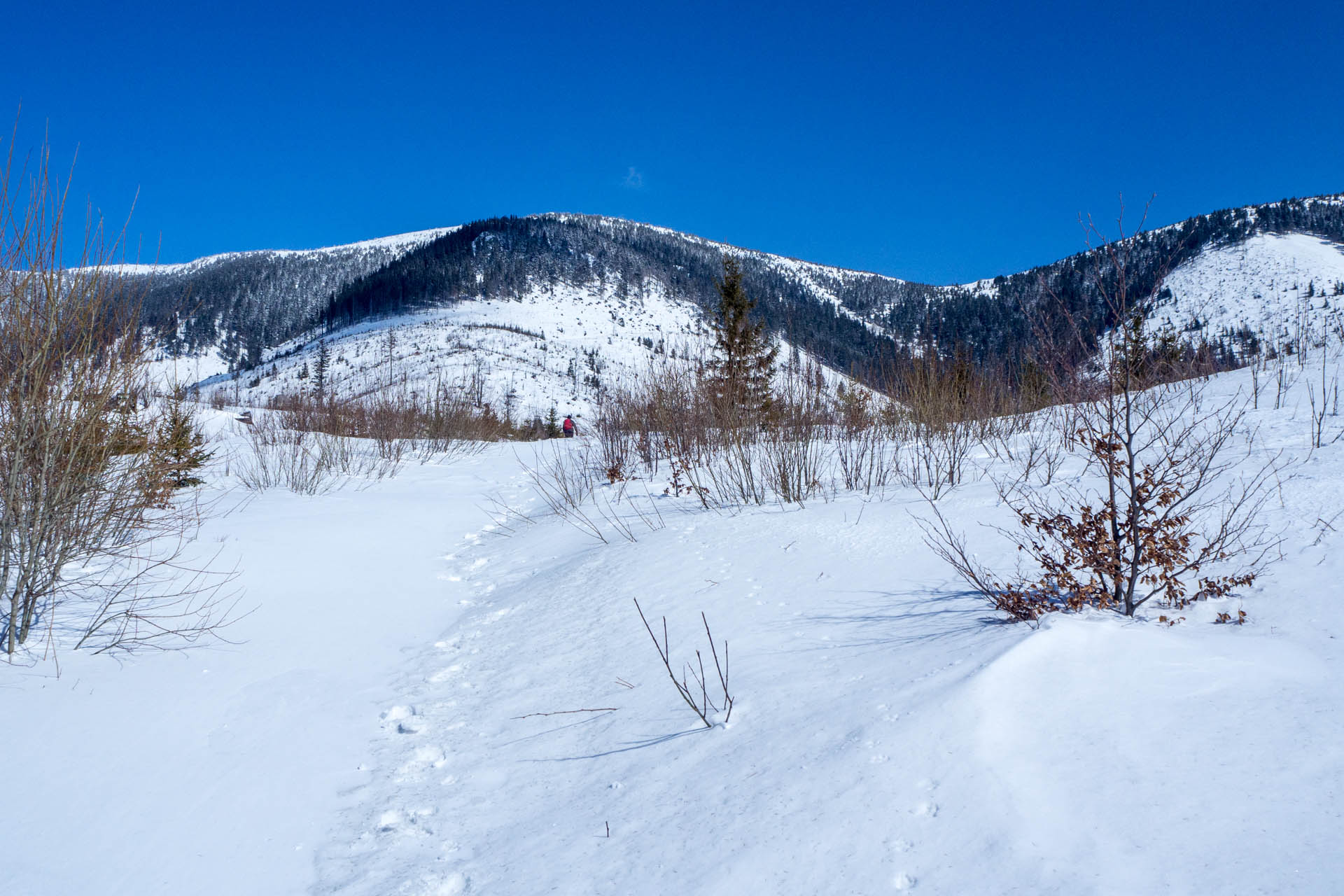 Veľkonočná Veľká Vápenica z Heľpy (Nízke Tatry)