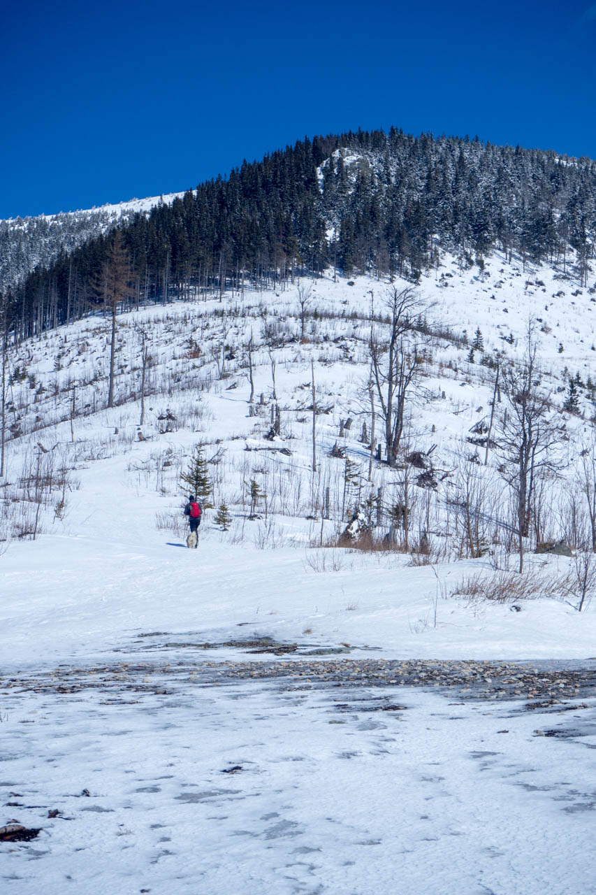 Veľkonočná Veľká Vápenica z Heľpy (Nízke Tatry)