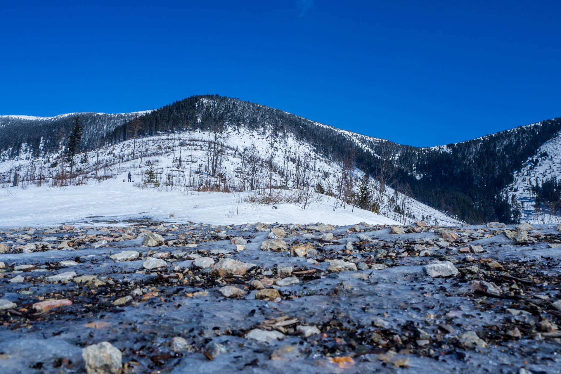 Veľkonočná Veľká Vápenica z Heľpy (Nízke Tatry)