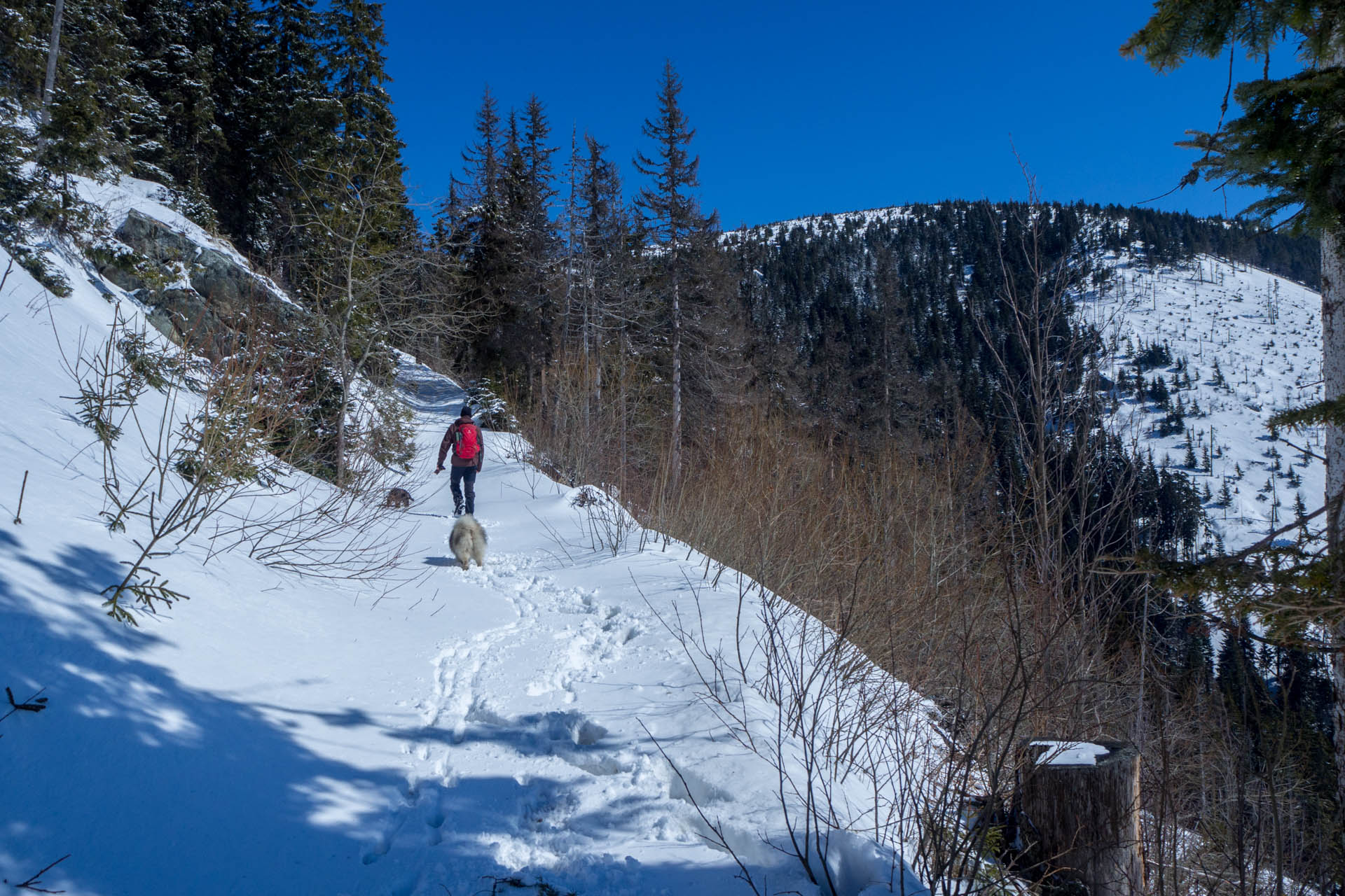 Veľkonočná Veľká Vápenica z Heľpy (Nízke Tatry)