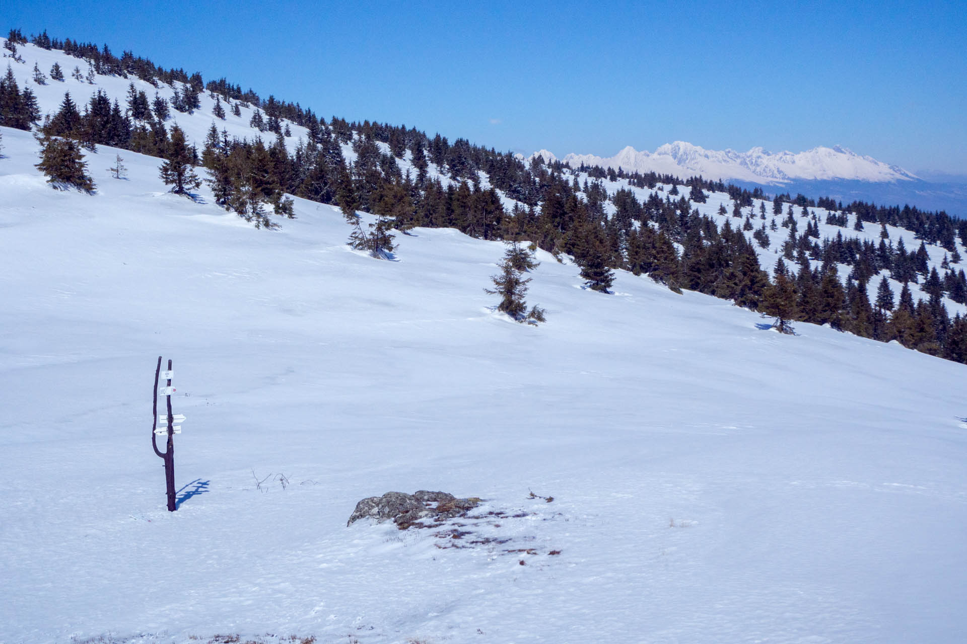 Veľkonočná Veľká Vápenica z Heľpy (Nízke Tatry)