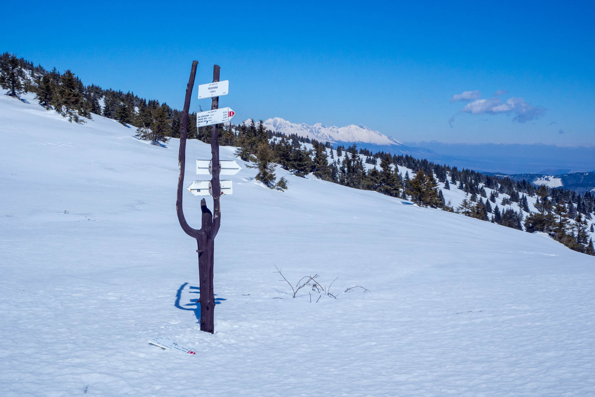 Veľkonočná Veľká Vápenica z Heľpy (Nízke Tatry)