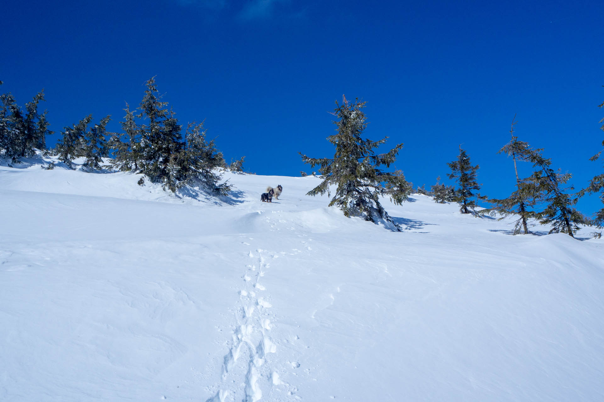 Veľkonočná Veľká Vápenica z Heľpy (Nízke Tatry)