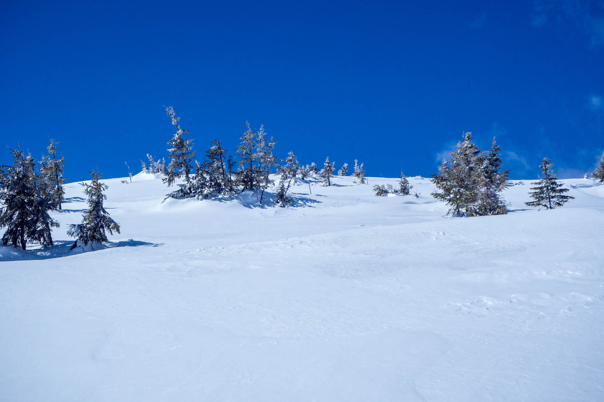 Veľkonočná Veľká Vápenica z Heľpy (Nízke Tatry)