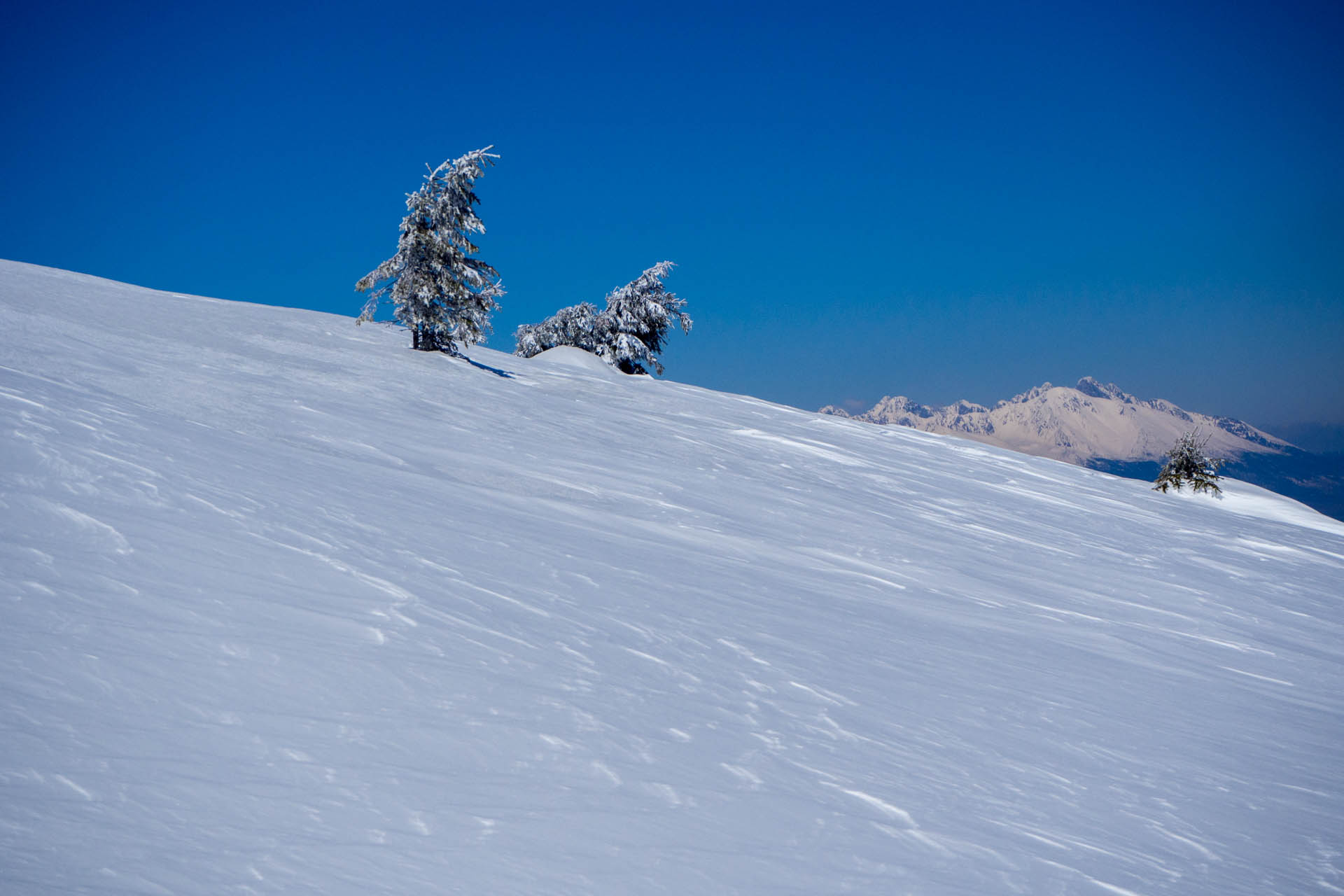 Veľkonočná Veľká Vápenica z Heľpy (Nízke Tatry)