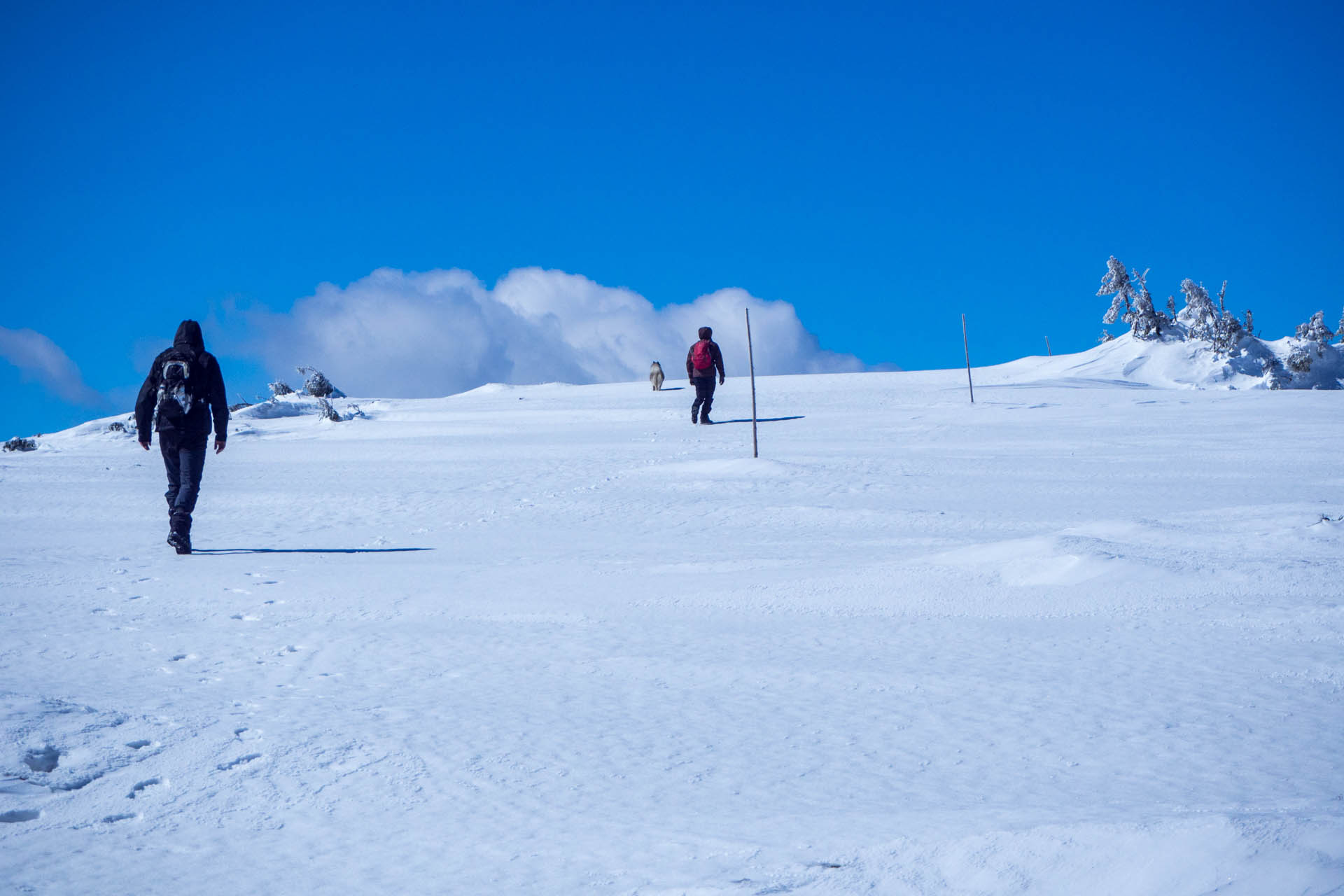 Veľkonočná Veľká Vápenica z Heľpy (Nízke Tatry)